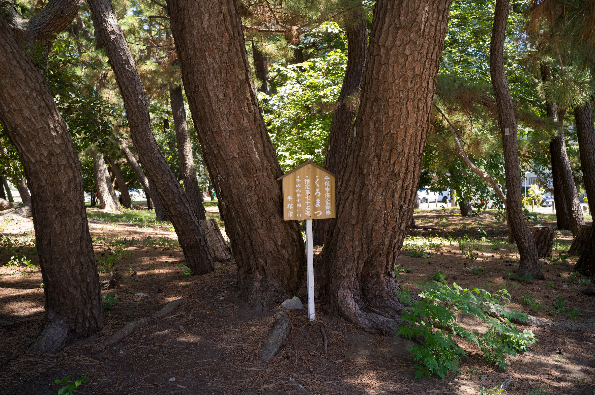 神奈川