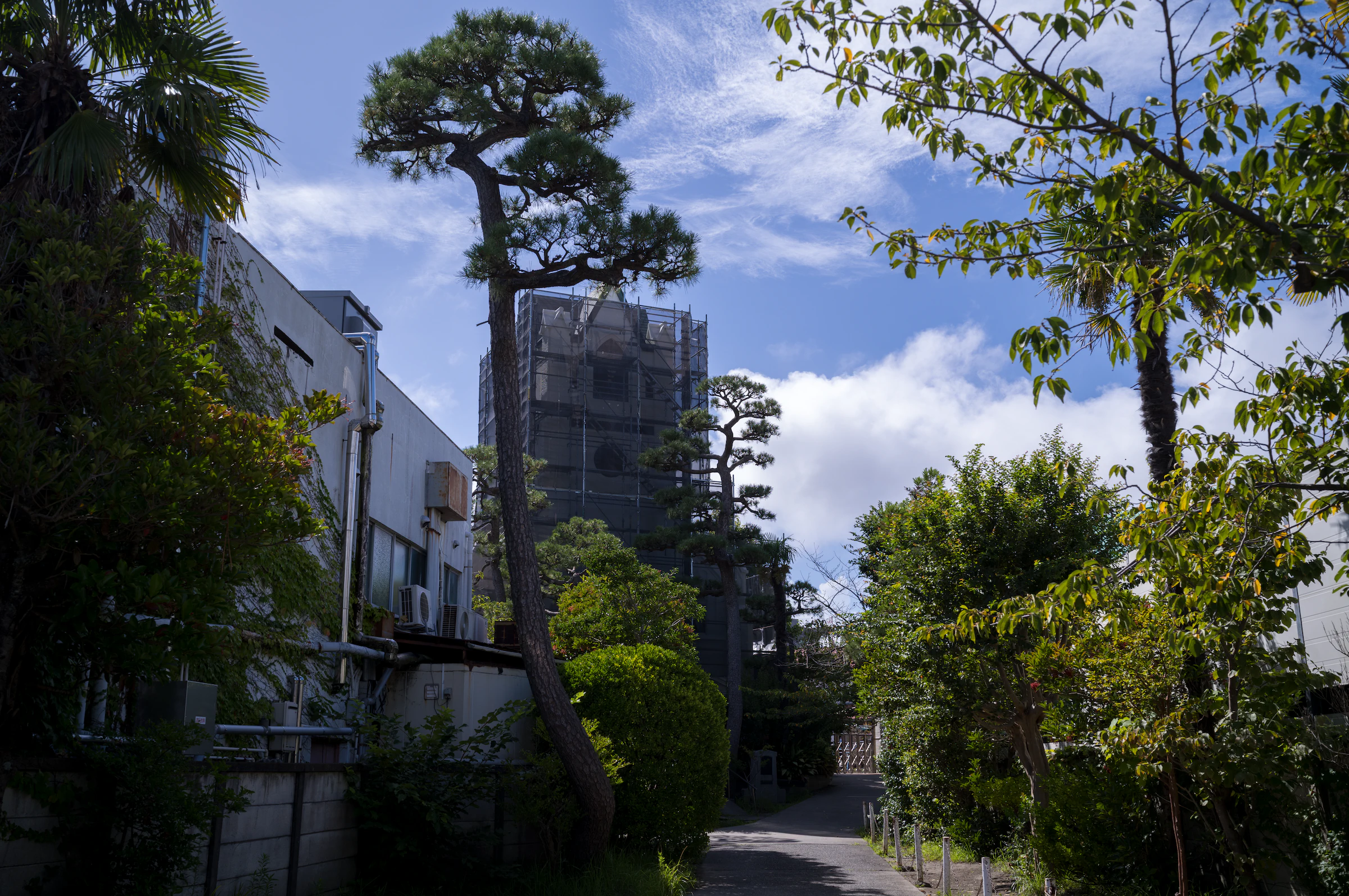神奈川