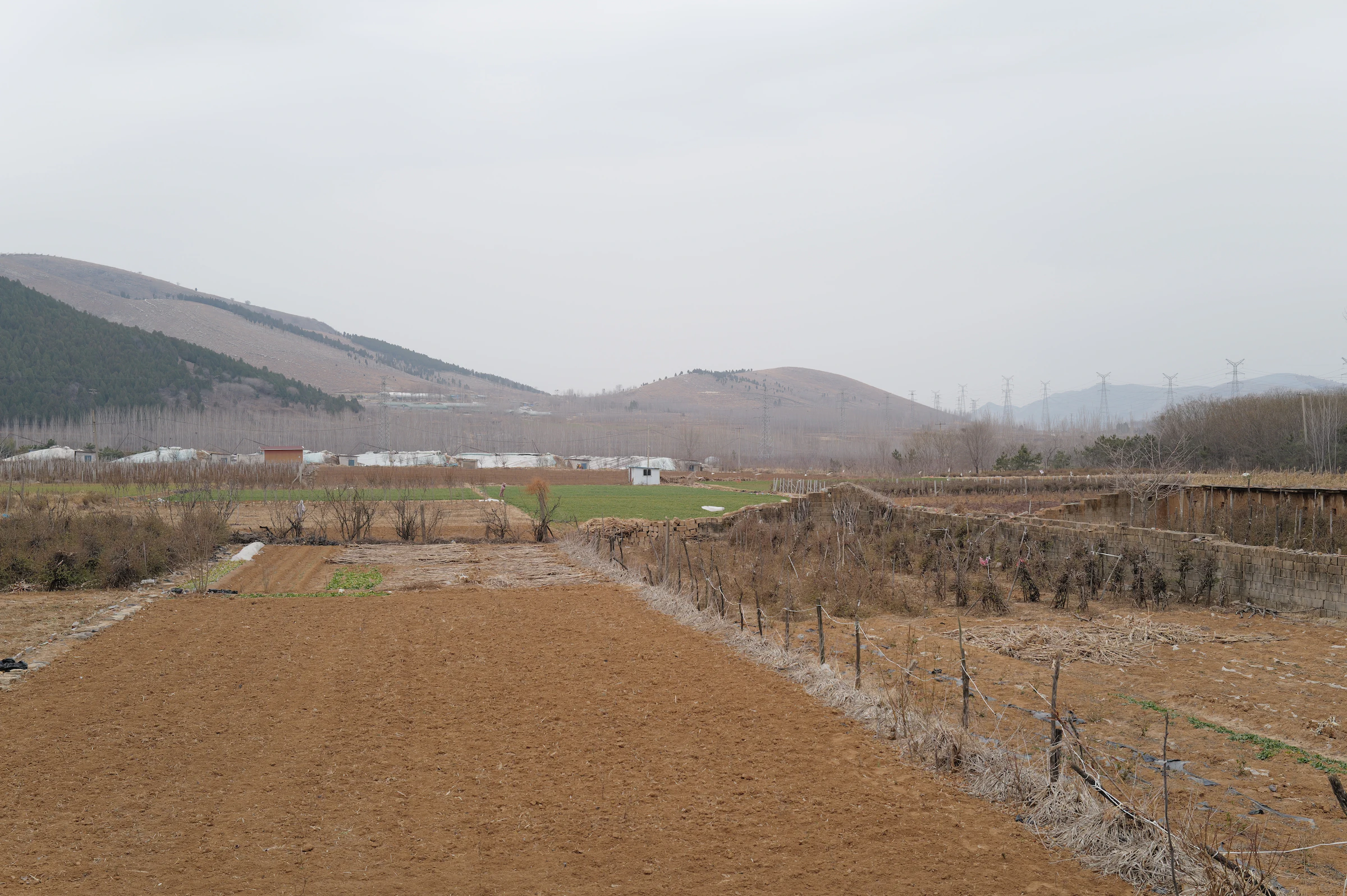 通向山脚农田的冬季土路
