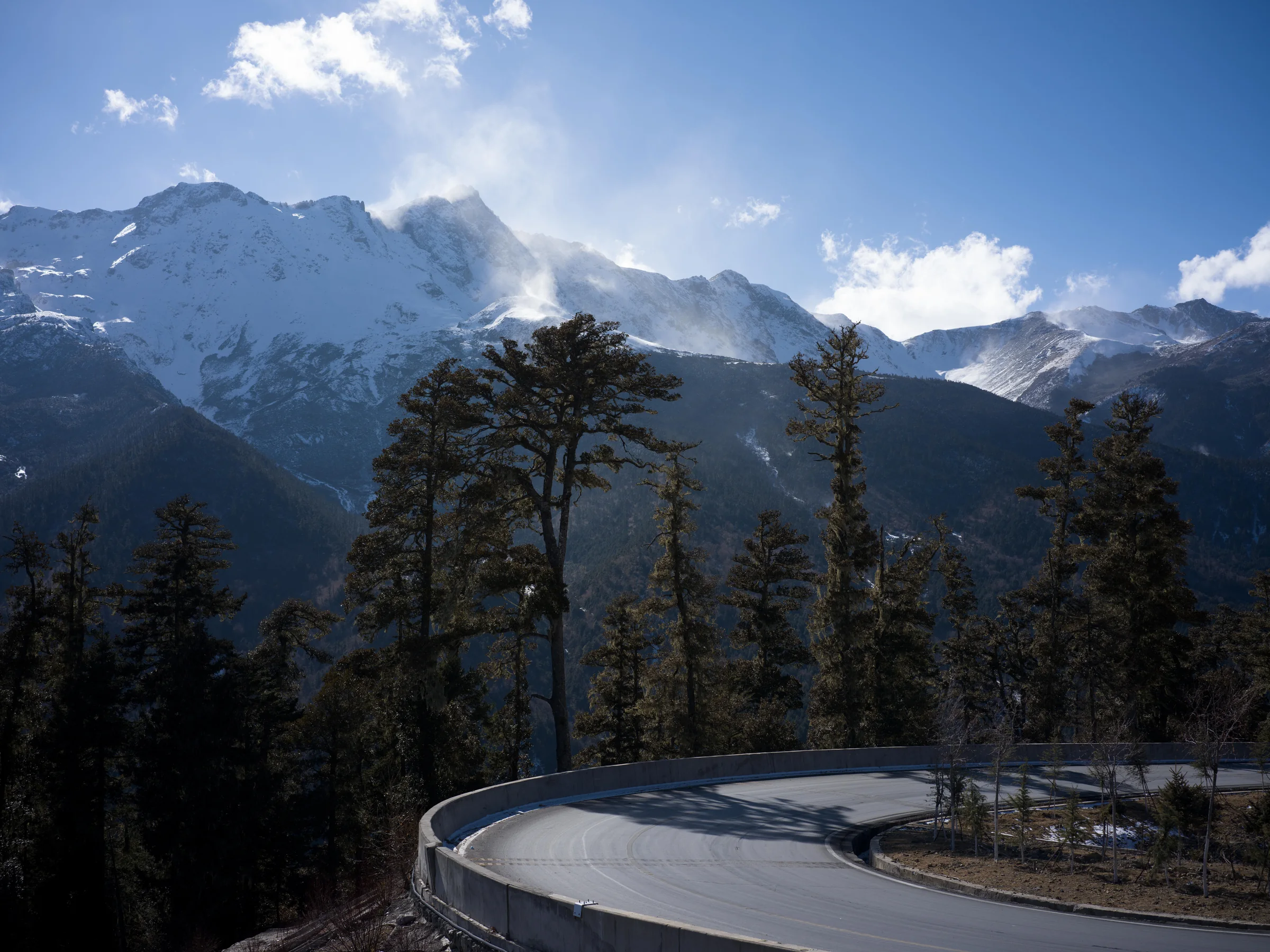 云南滇西北松林中的山路与雪峰