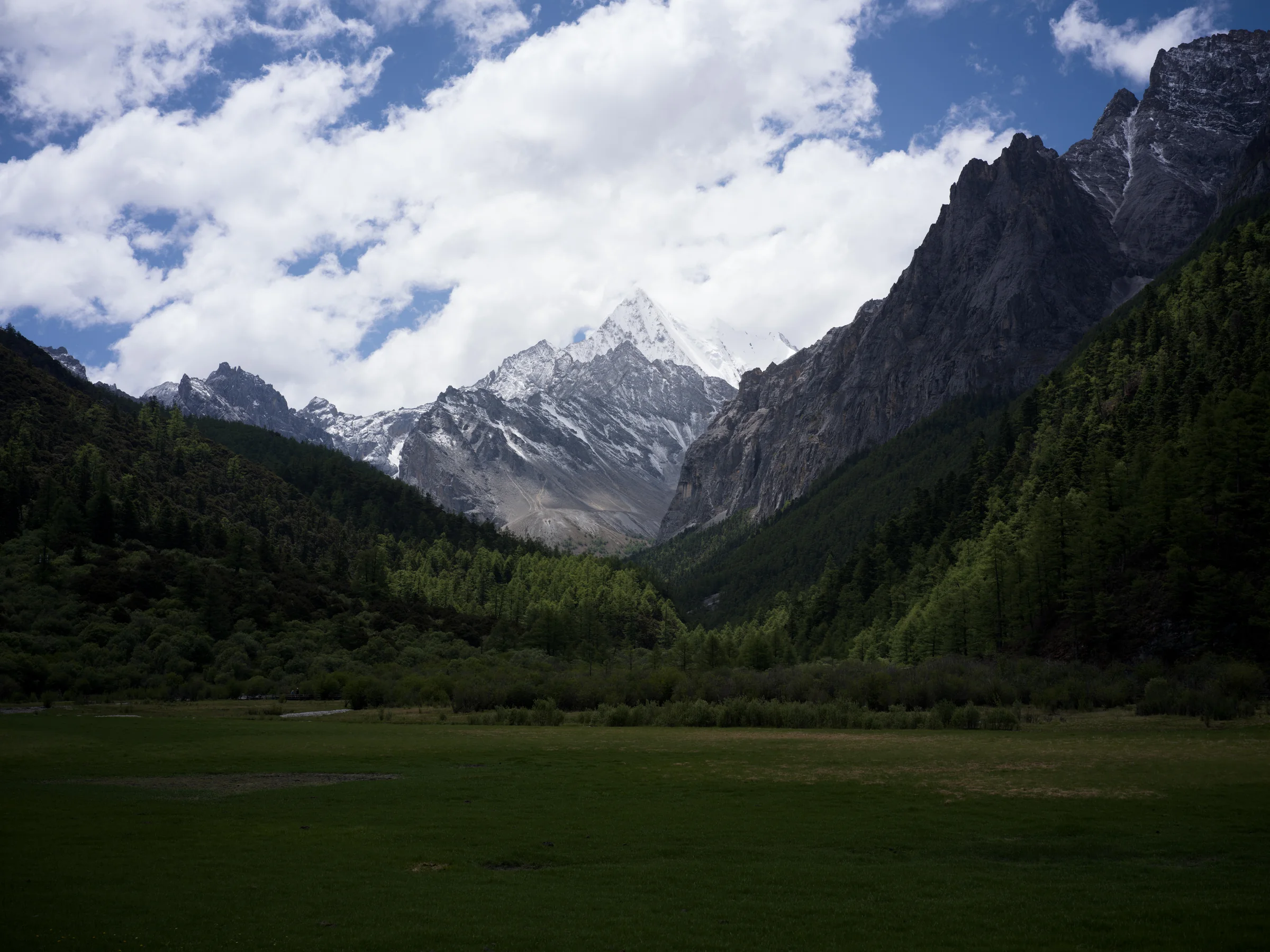 云南滇西北草甸、森林与云中雪山