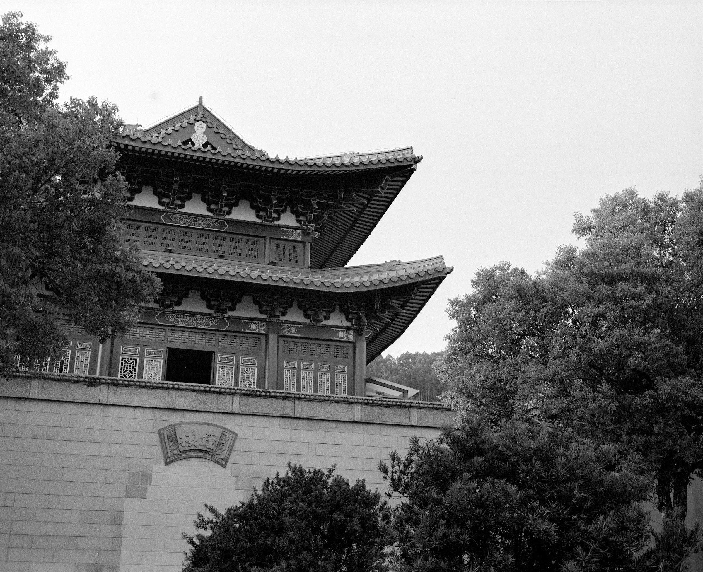 福建福州一座多层传统高塔从树冠后方升起