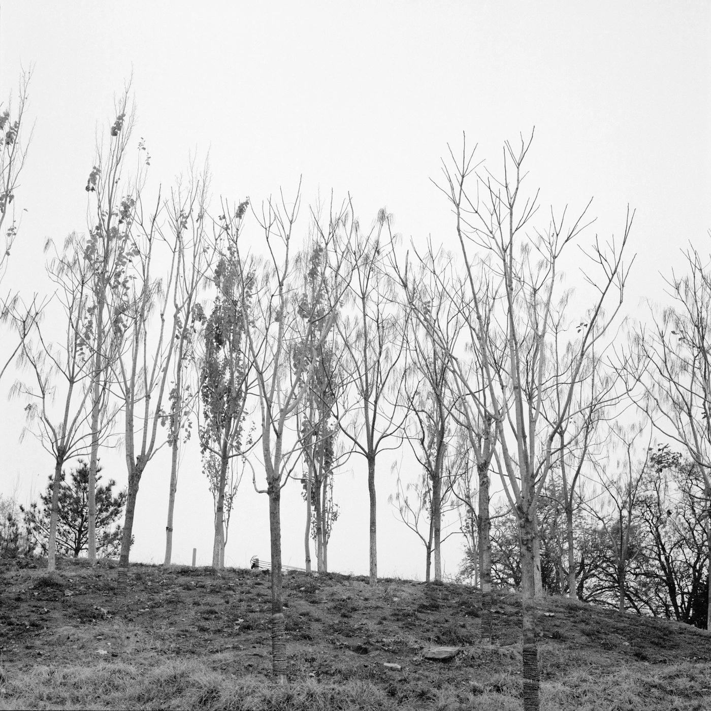 FANG photograph 003: 北京胶片 2022.11 / Beijing Film 2022.11
