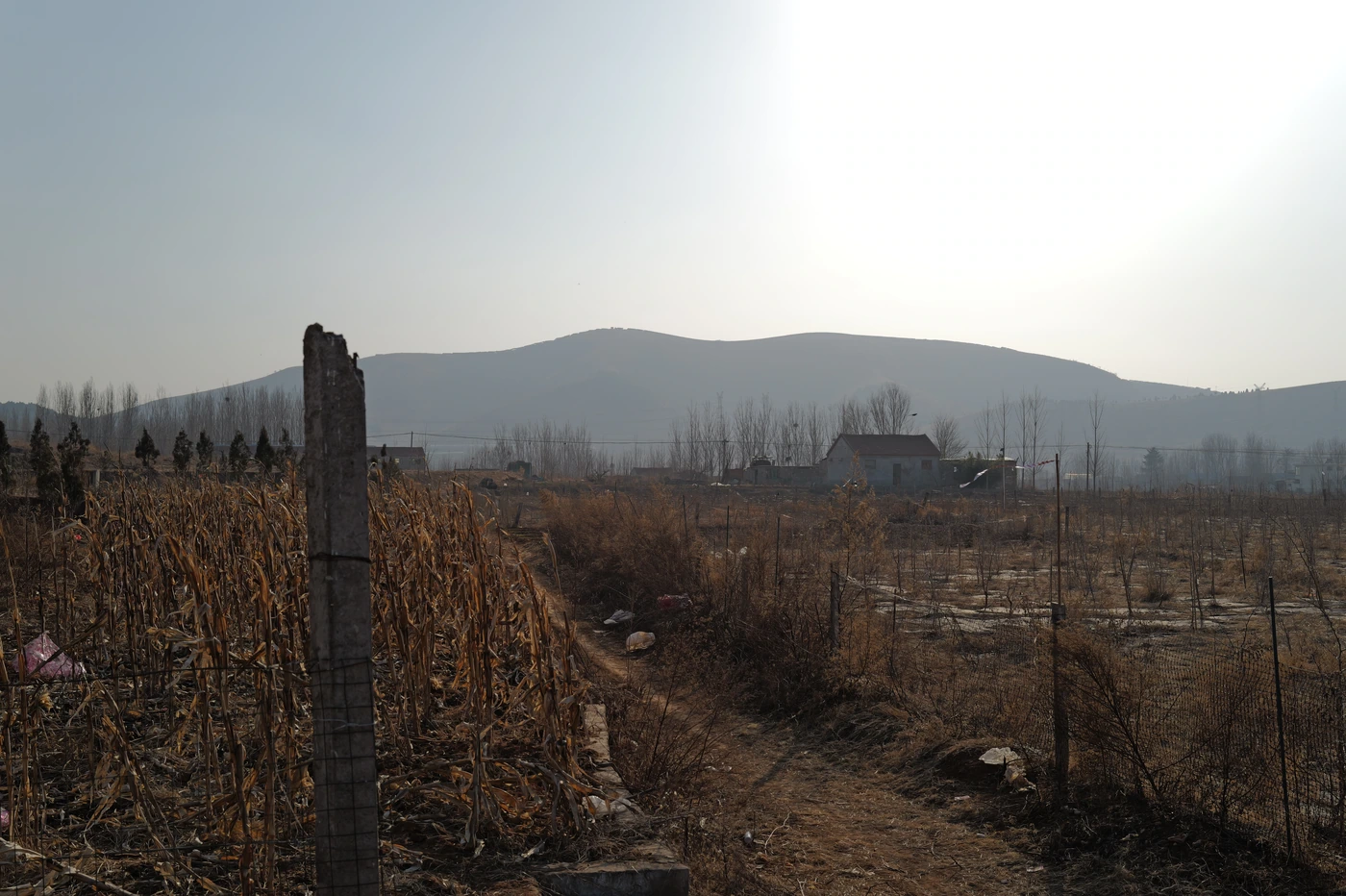 山东 / Shandong photograph 001
