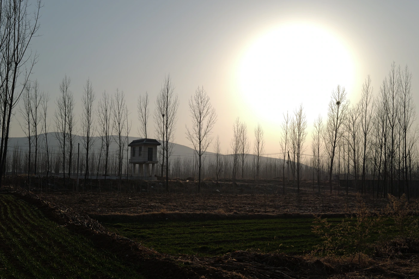 山东 / Shandong photograph 010
