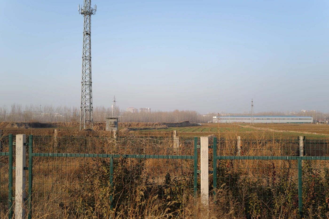 山东 / Shandong photograph 012