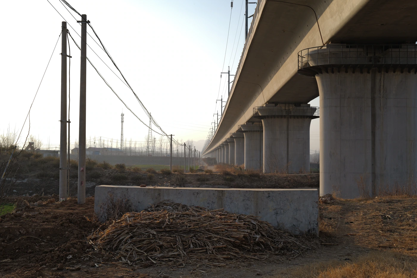 山东 / Shandong photograph 013