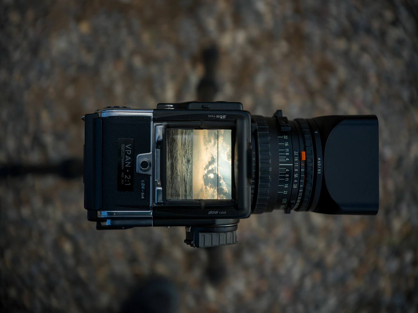 FANG photograph 030: 哈苏 #1325 / Hasselblad 1325