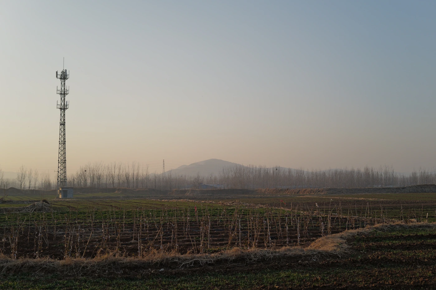 山东 / Shandong photograph 018