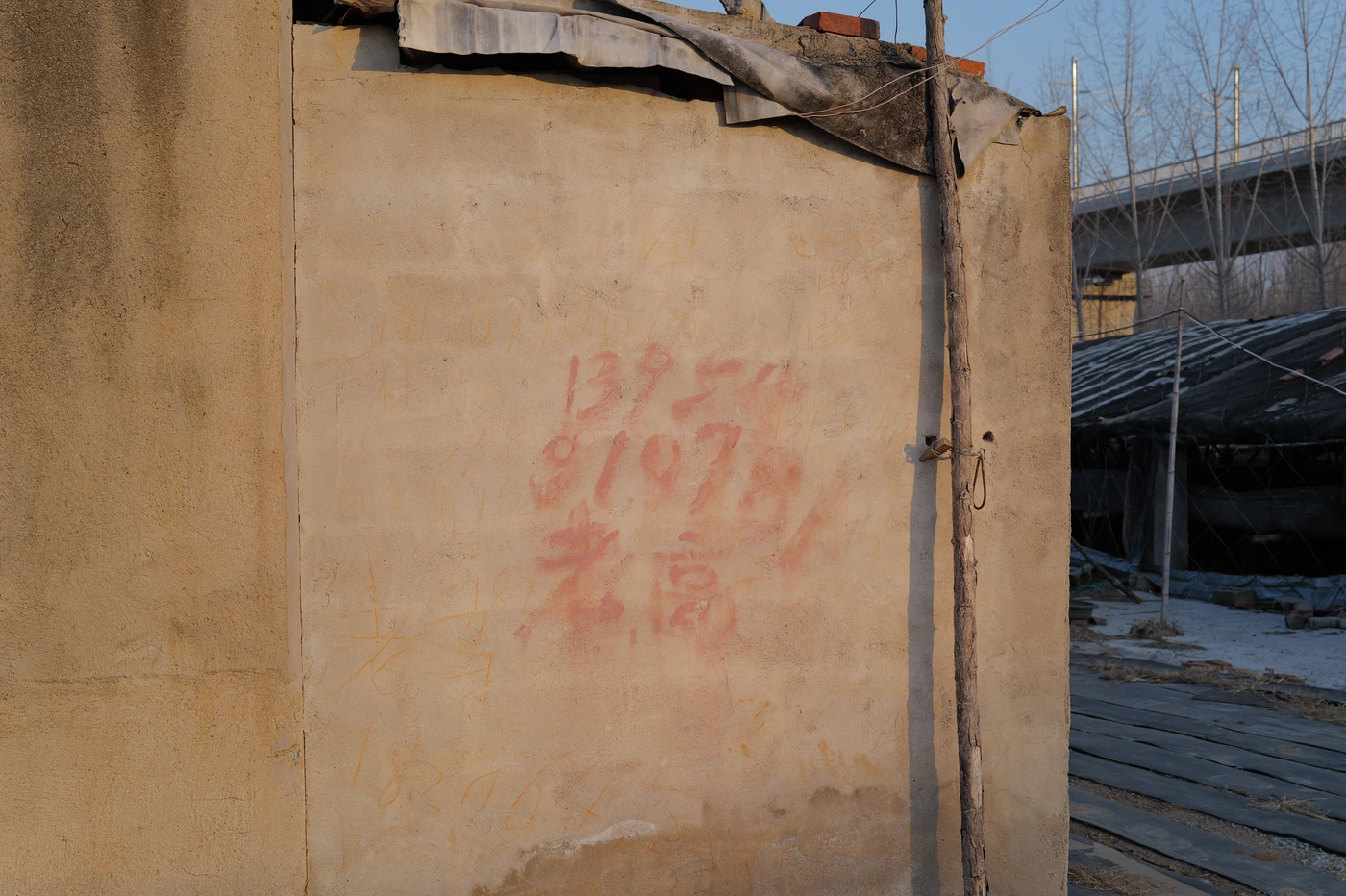 山东 / Shandong photograph 019