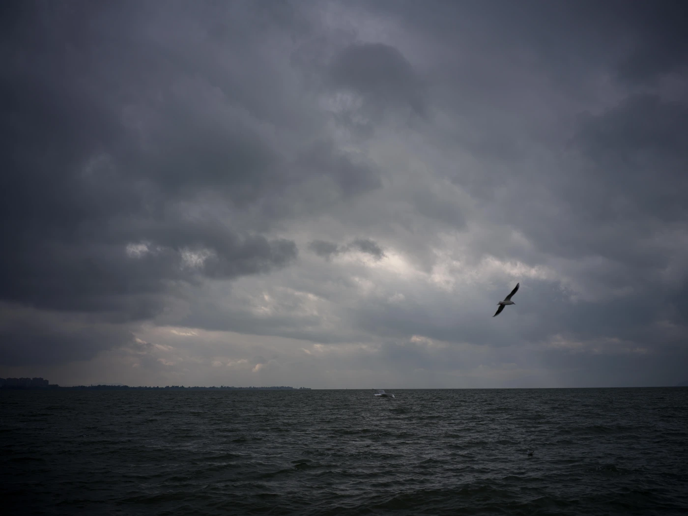 FANG photograph 033: 哈苏 #1397 / Hasselblad 1397