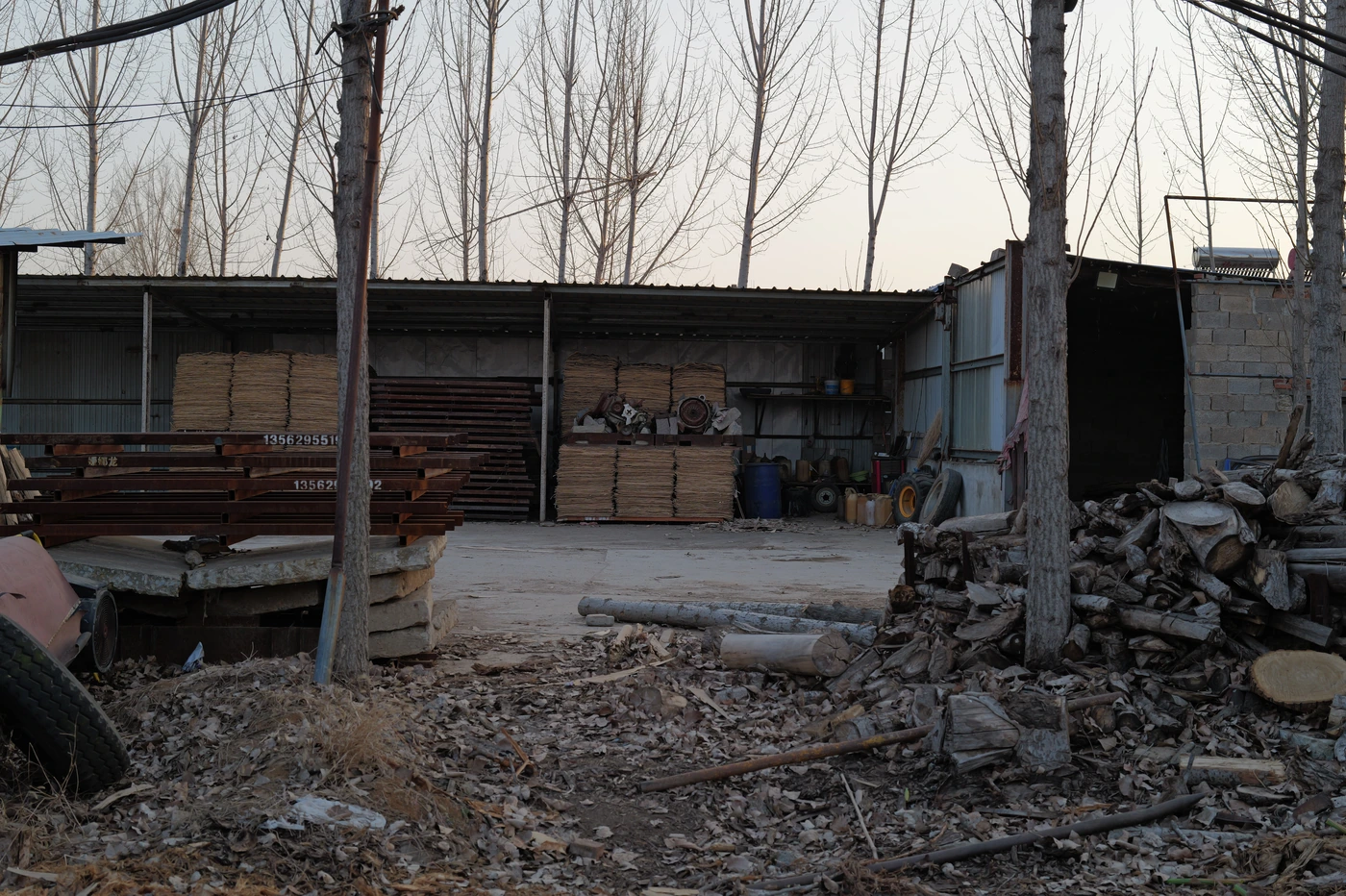 山东 / Shandong photograph 022