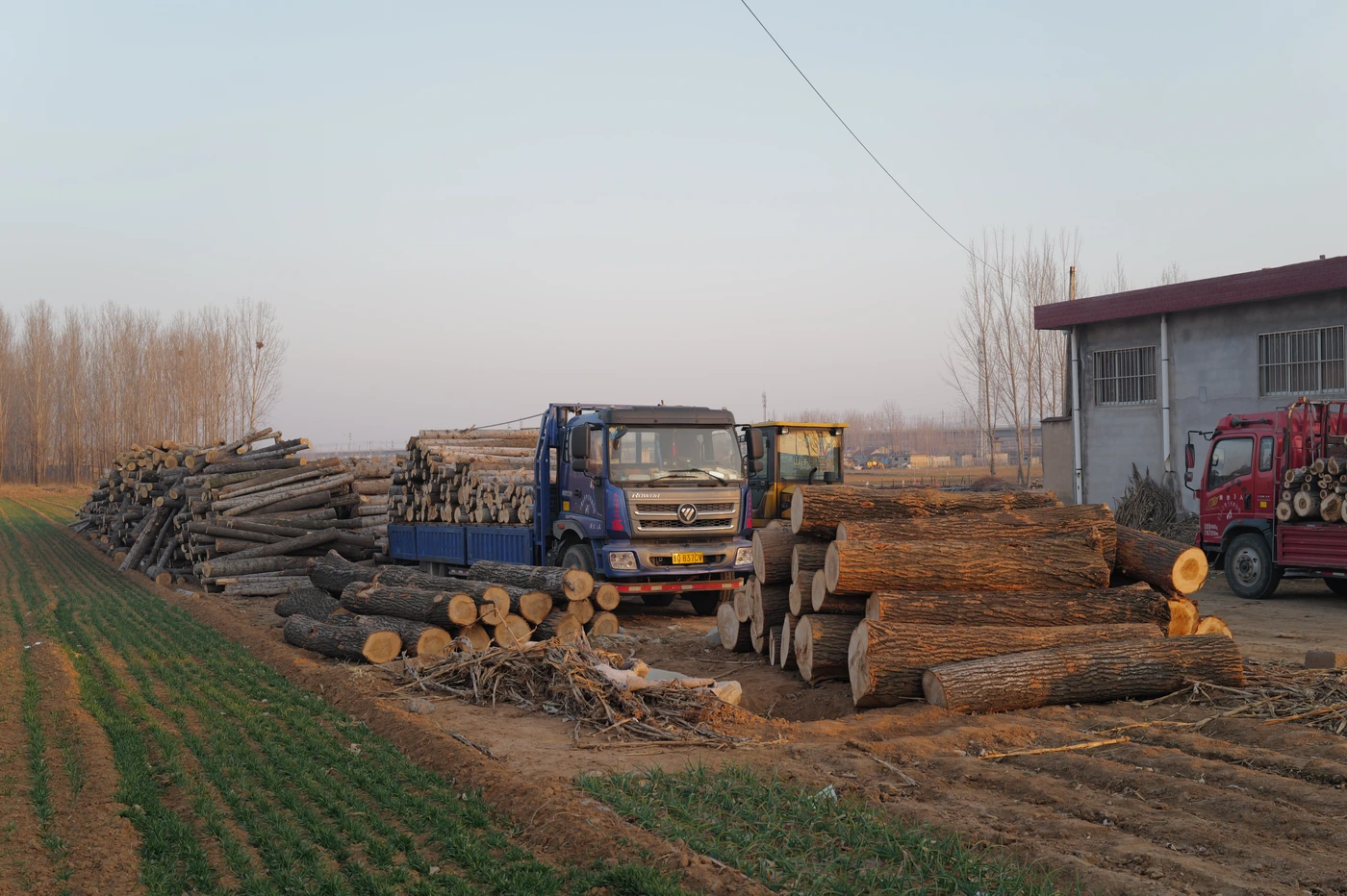 山东 / Shandong photograph 024