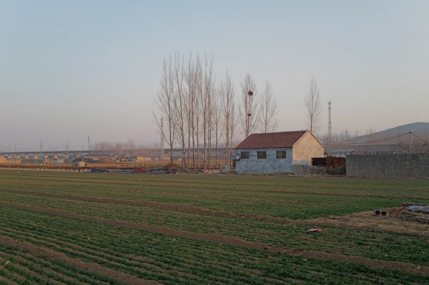 山东 / Shandong photograph 025