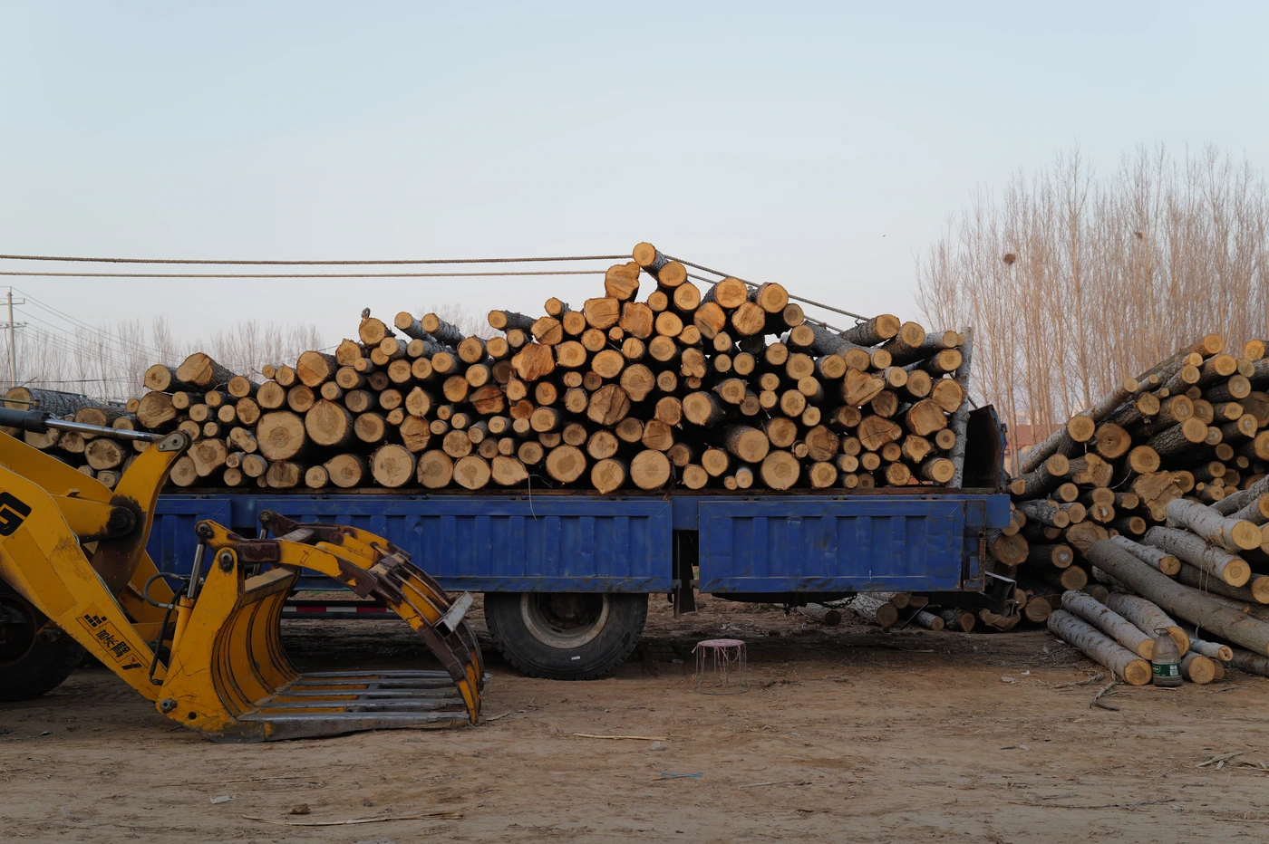 山东 / Shandong photograph 026
