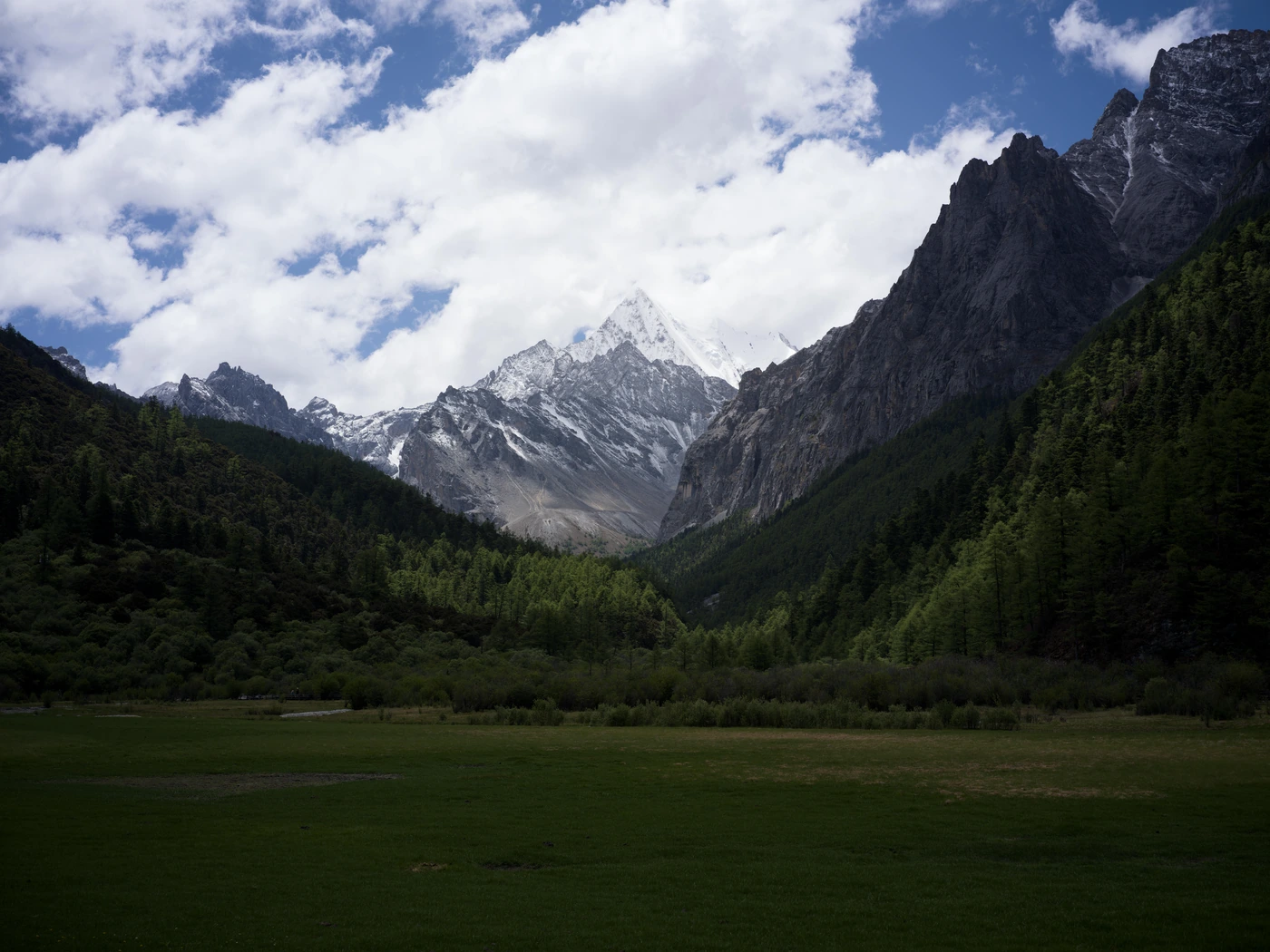 FANG photograph 042: 哈苏 #3578 / Hasselblad 3578