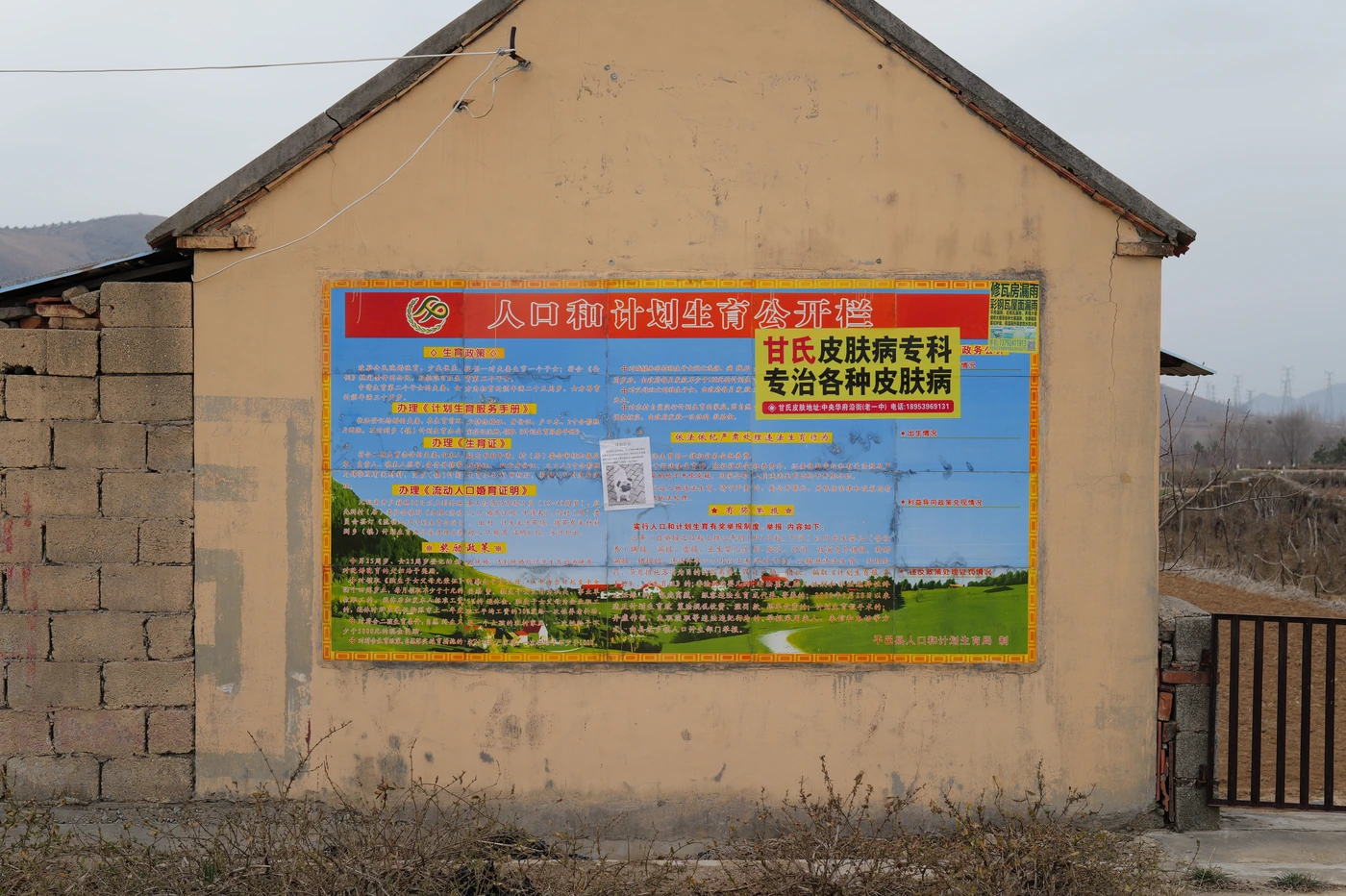 山东 / Shandong photograph 033