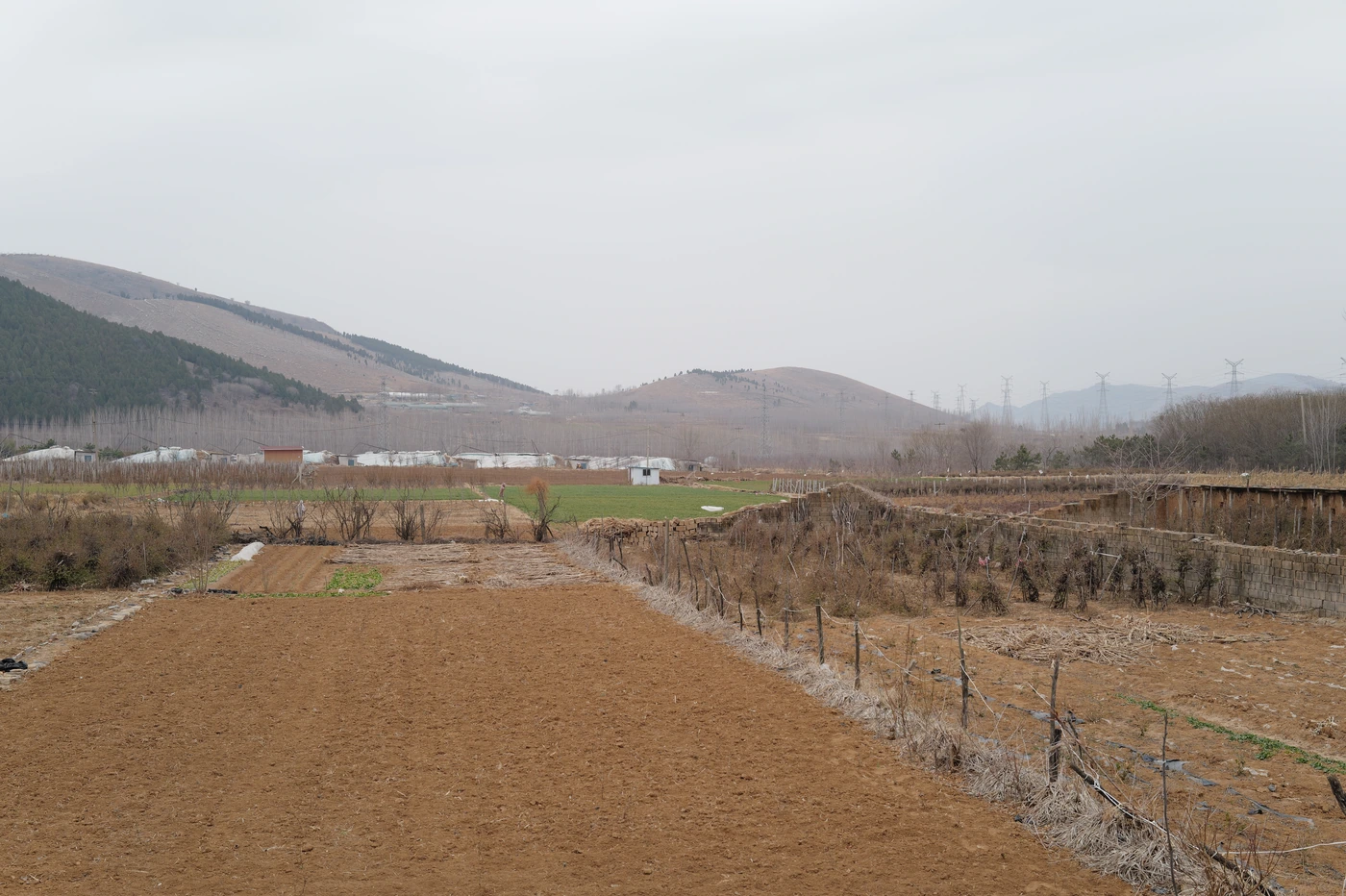 山东 / Shandong photograph 034