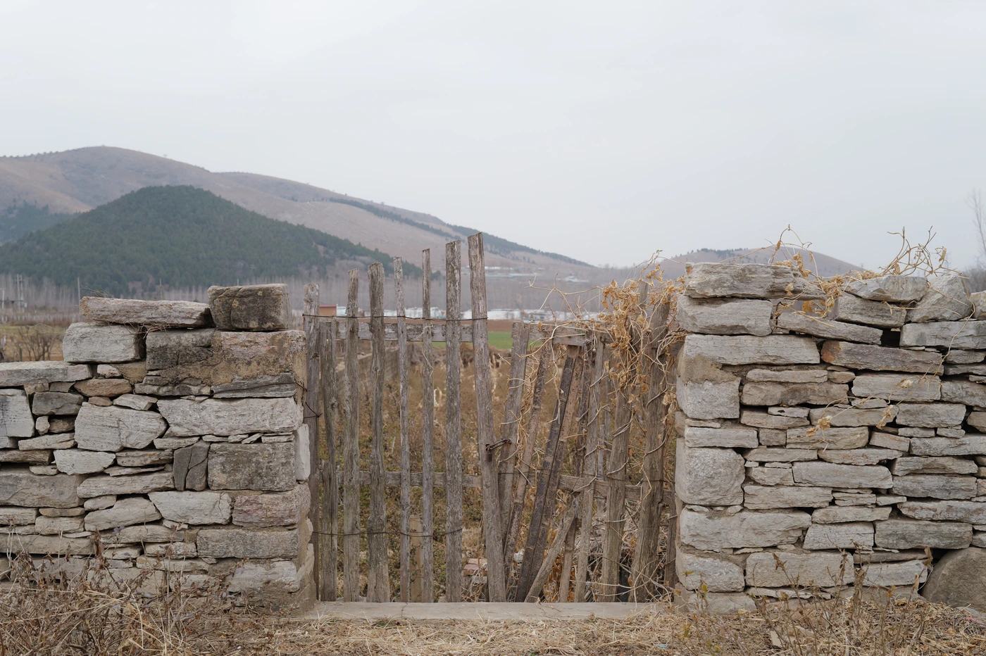 山东 / Shandong photograph 035