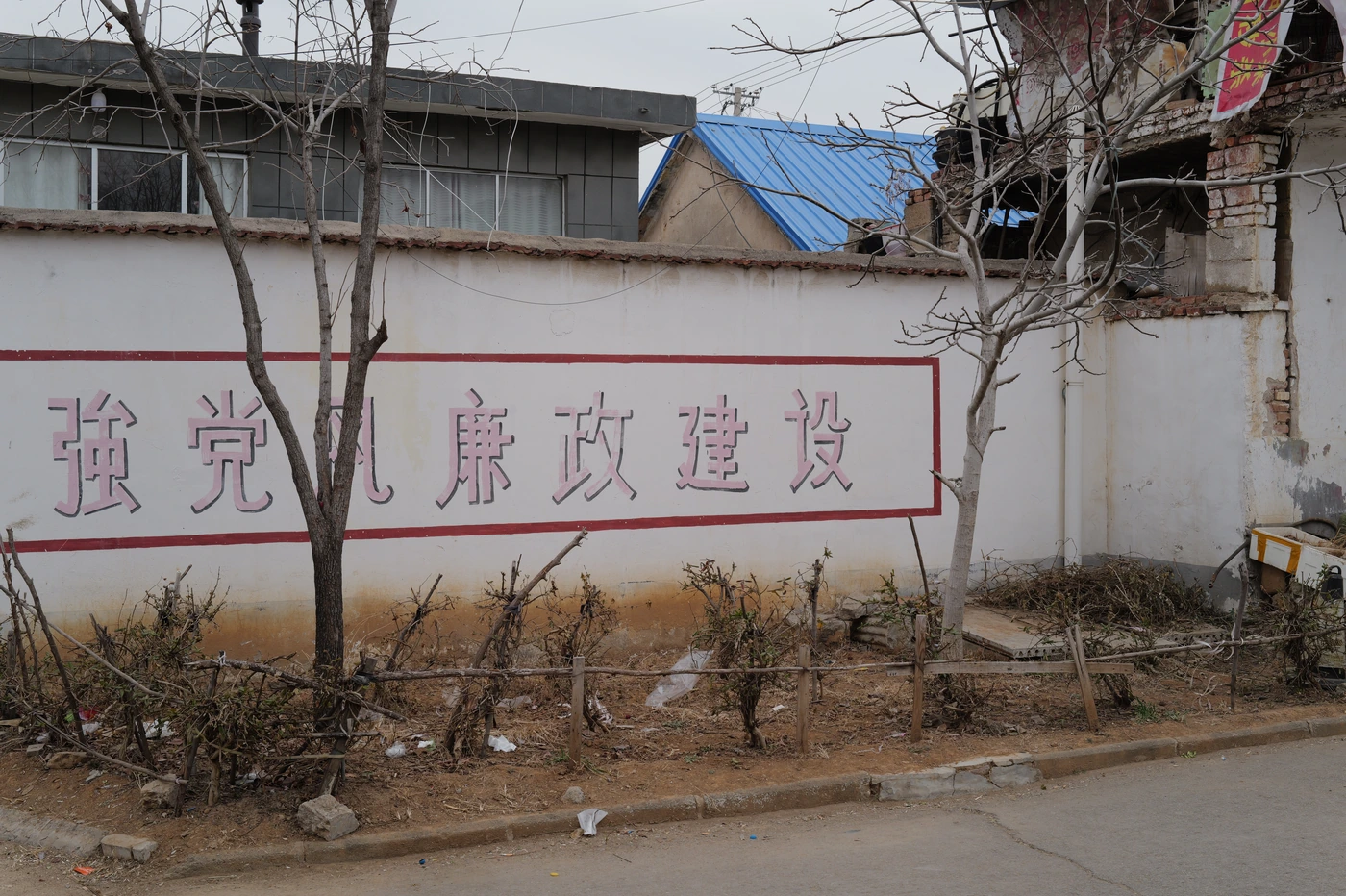 山东 / Shandong photograph 039