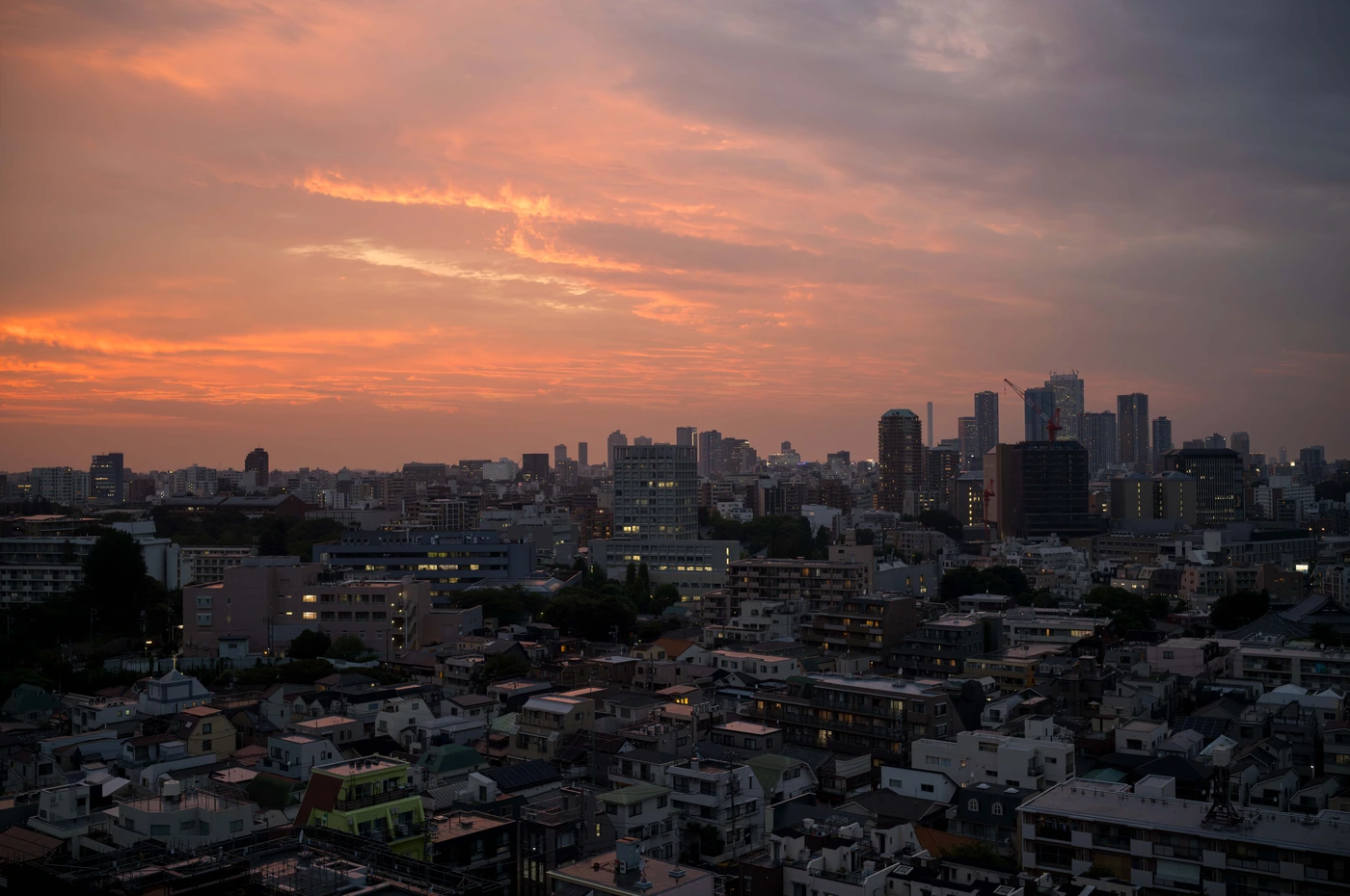 FANG photograph 048: 东京天际线 2026.07.13 / Tokyo Skyline 2026.07.13