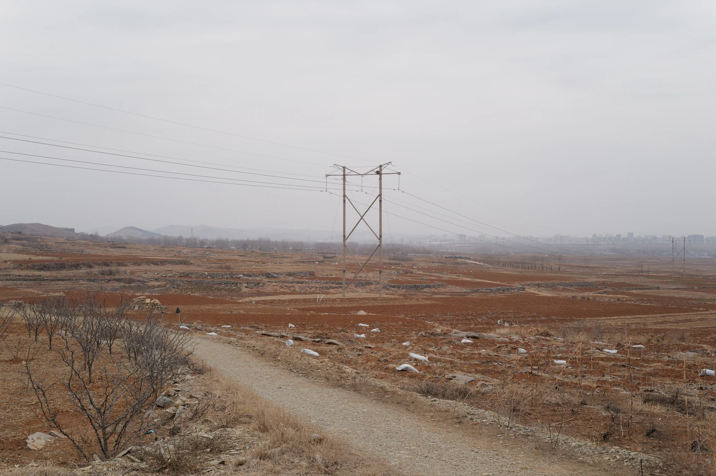 山东 / Shandong photograph 042