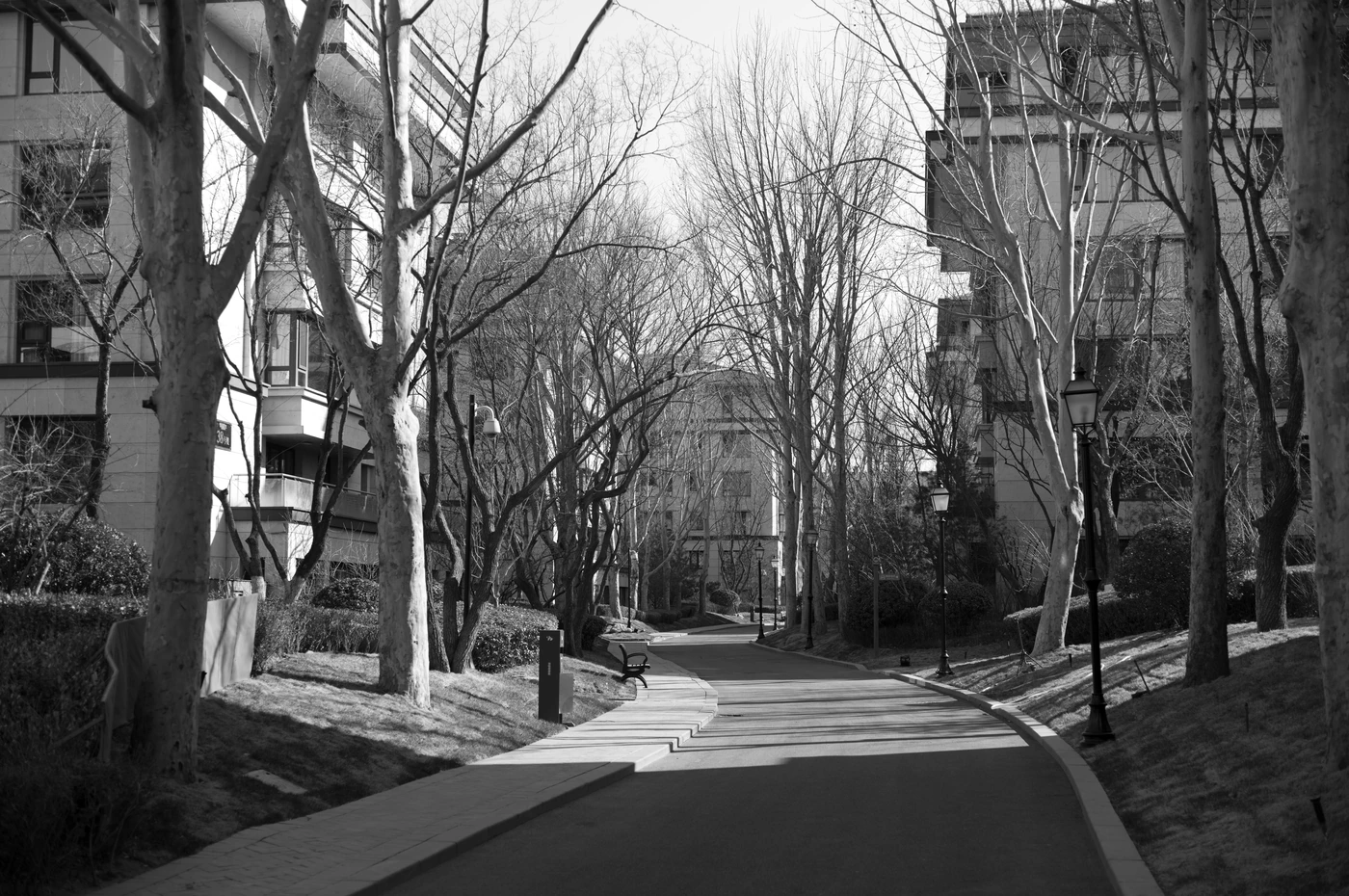 FANG photograph 011: 街景,北京 / Street View, Beijing