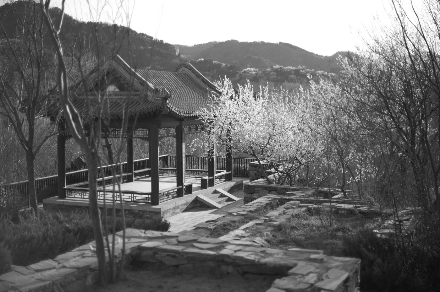 FANG photograph 004: 亭台与枝条,北京 / Pavilion & Branches, Beijing