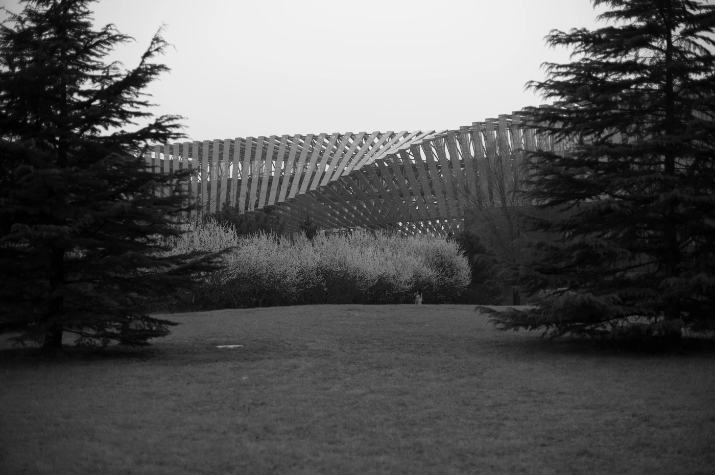 FANG photograph 008: 构架与树林,北京 / Structure & Trees, Beijing