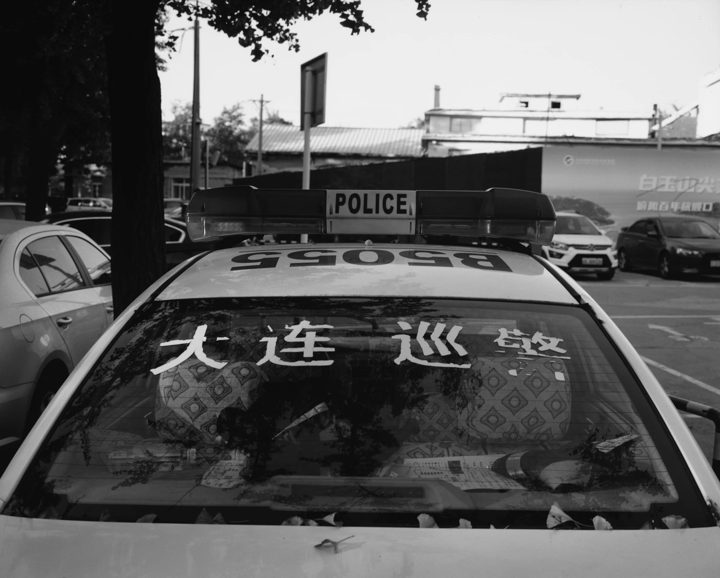 FANG photograph 018: 大连胶片 #03 / Dalian Film Scan 03