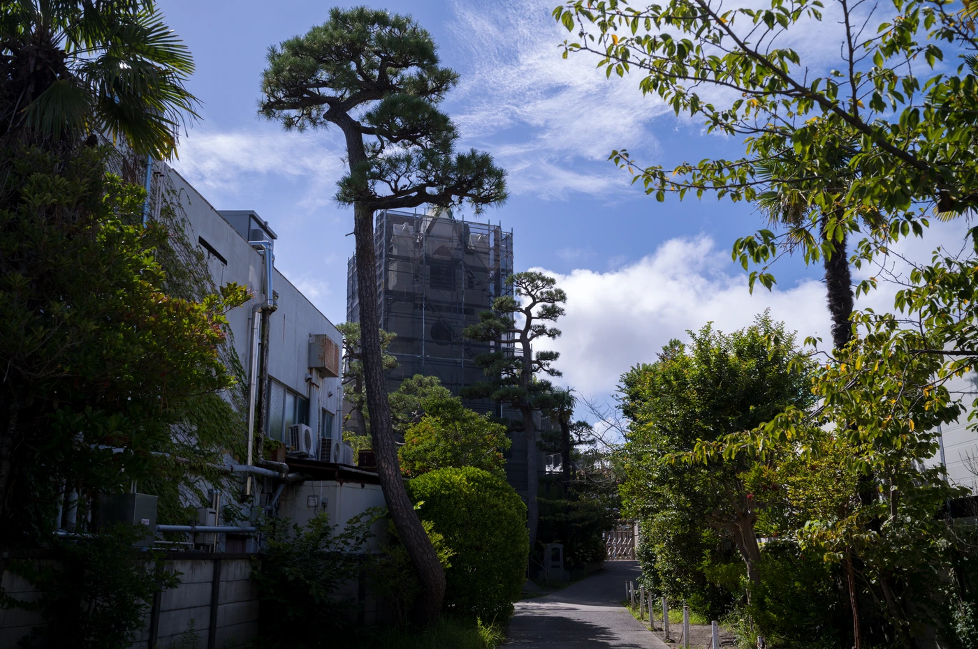 神奈川 / Kanagawa photograph 041