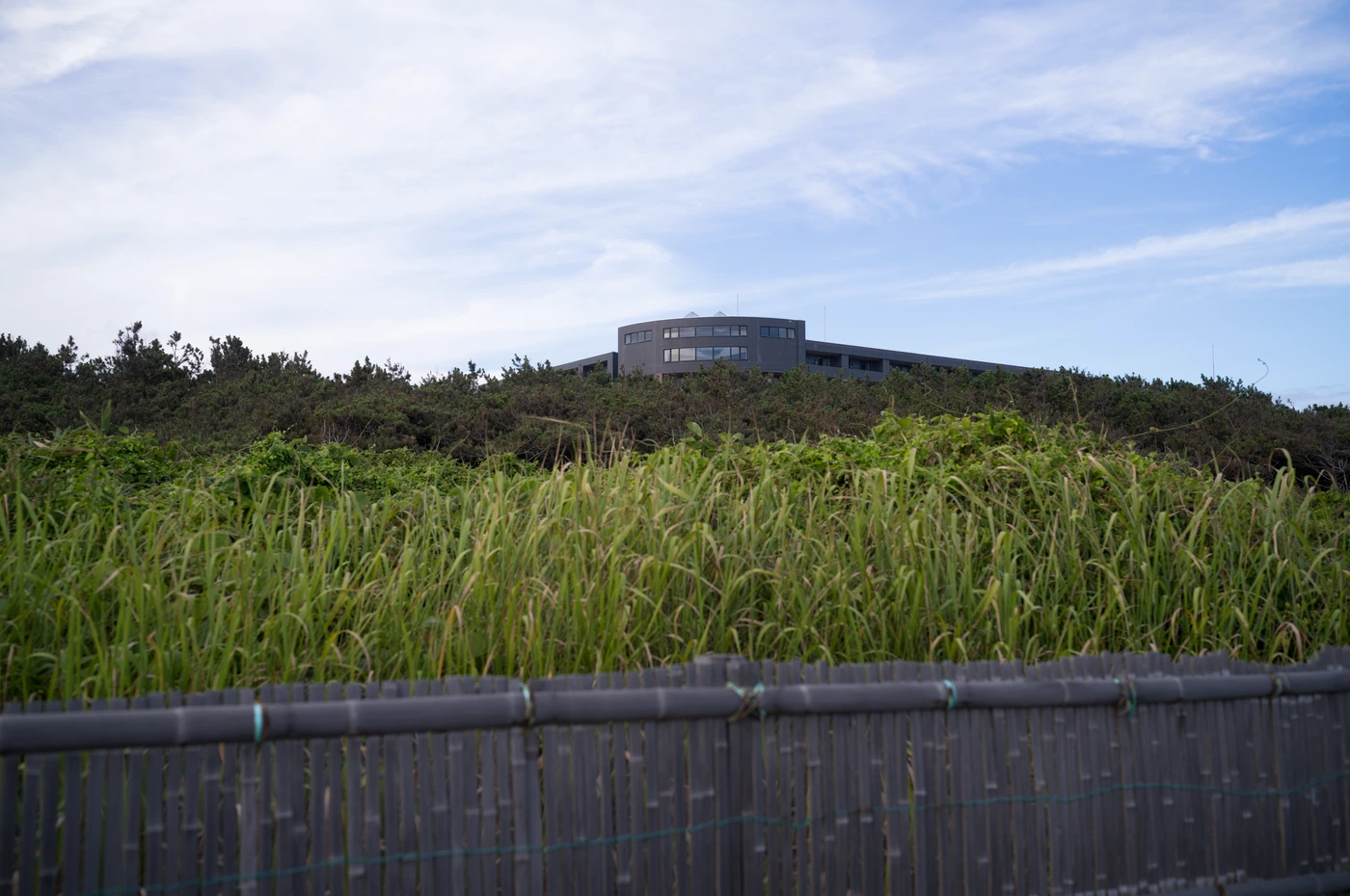 神奈川 / Kanagawa photograph 096