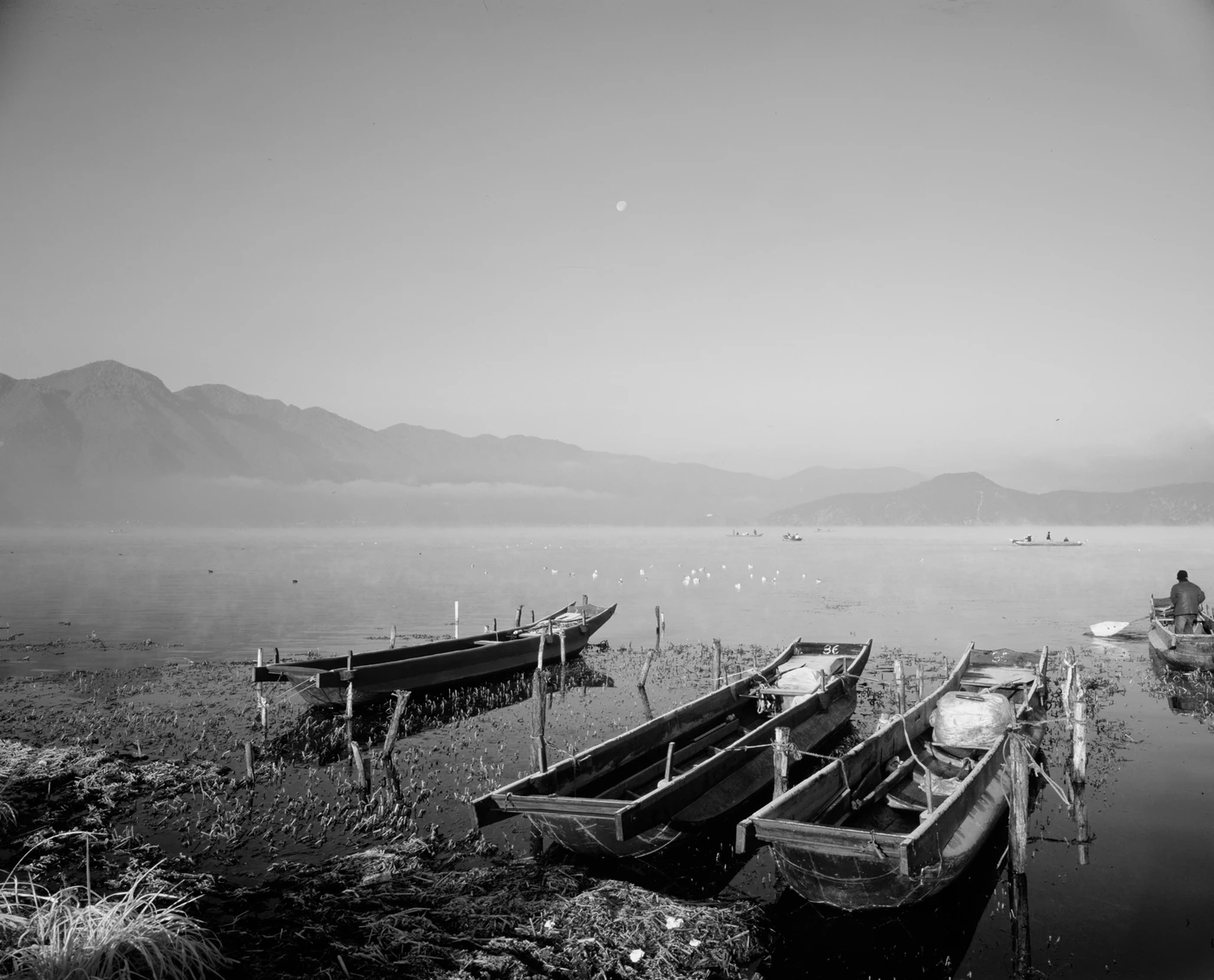 FANG photograph 137: 岸边木舟 / Boats, Shoreline