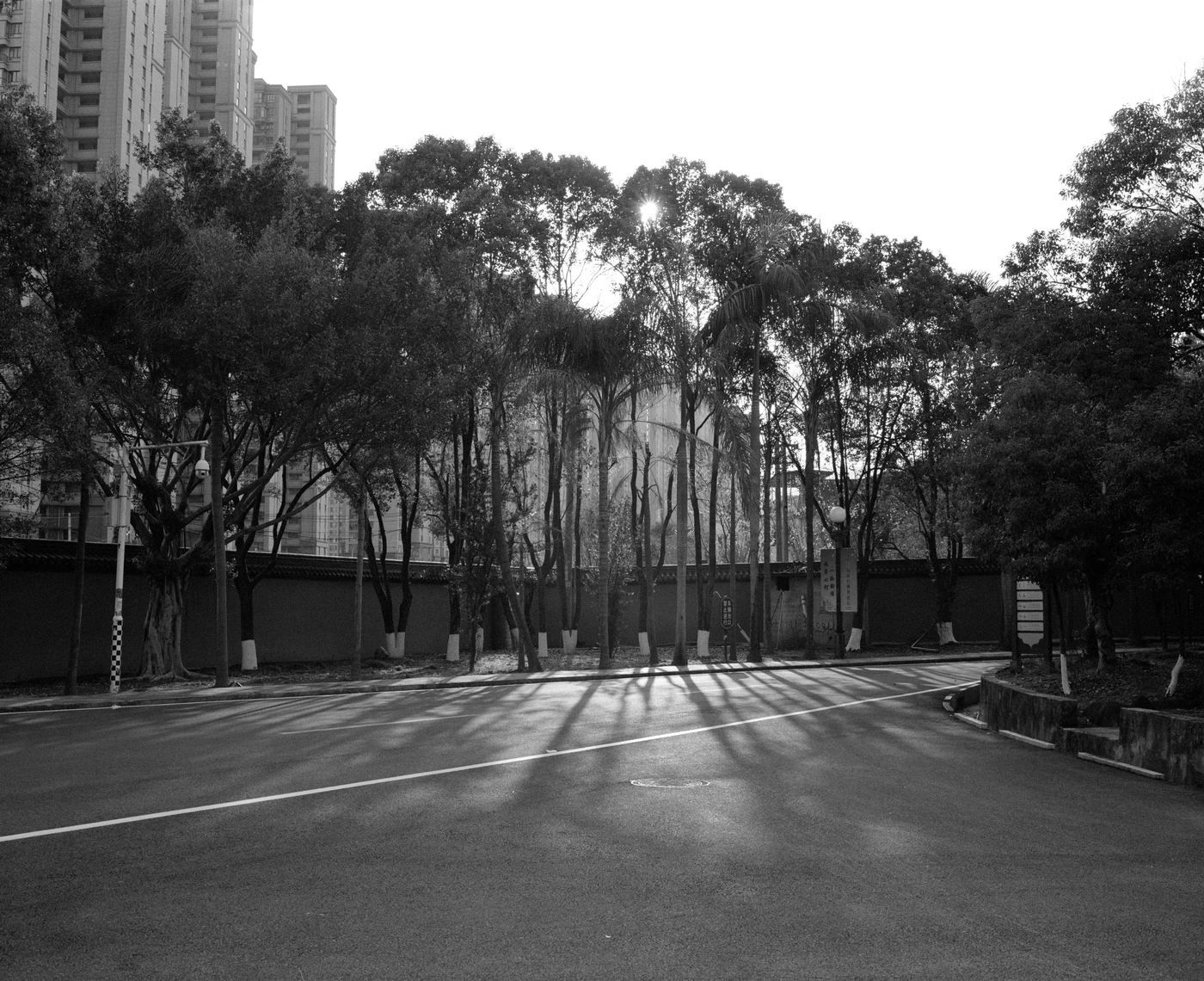 FANG photograph 098: 长影 / Long Shadows