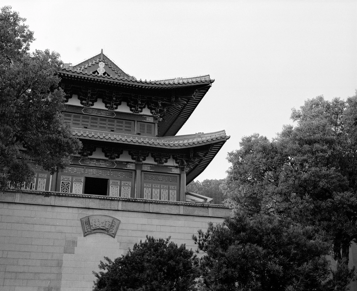 FANG photograph 119: 树间高塔 / Tower & Trees