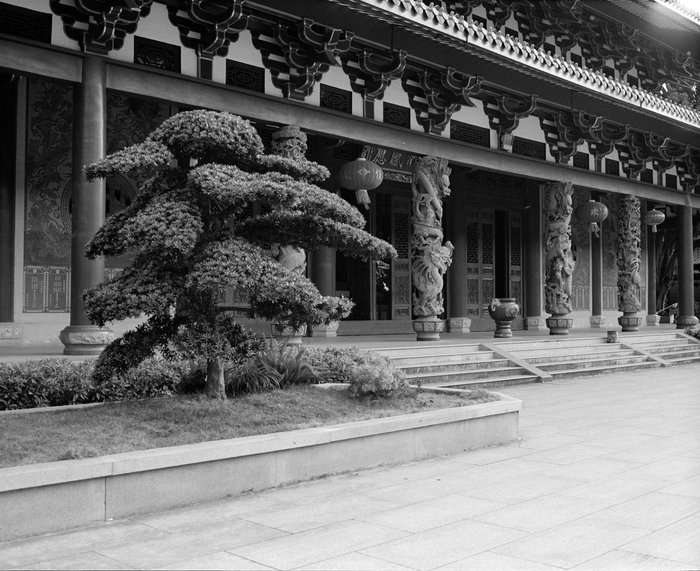 FANG photograph 118: 廊柱与松树 / Colonnade & Pine