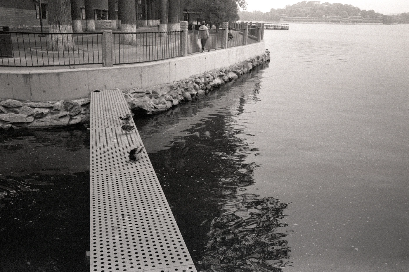 FANG photograph 112: 水岸 / Water Edge