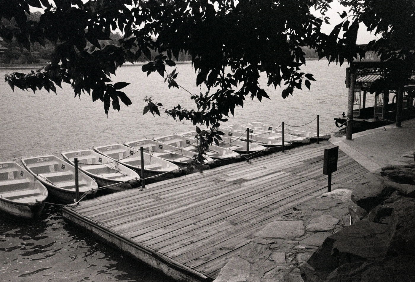 FANG photograph 113: 泊岸小舟 / Boats, Landing