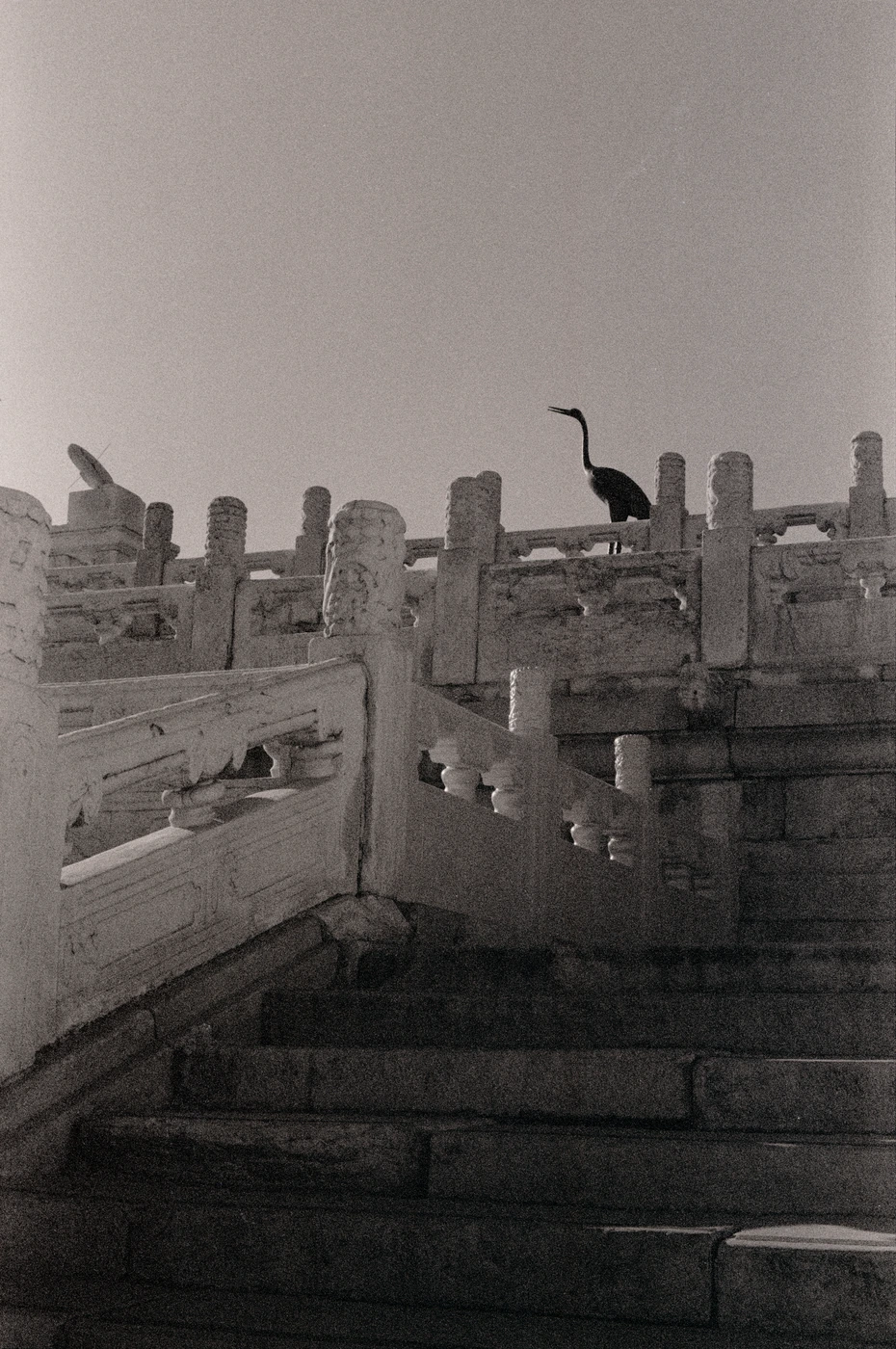 FANG photograph 101: 石栏与长颈鸟 / Stone Rails & Long-necked Bird