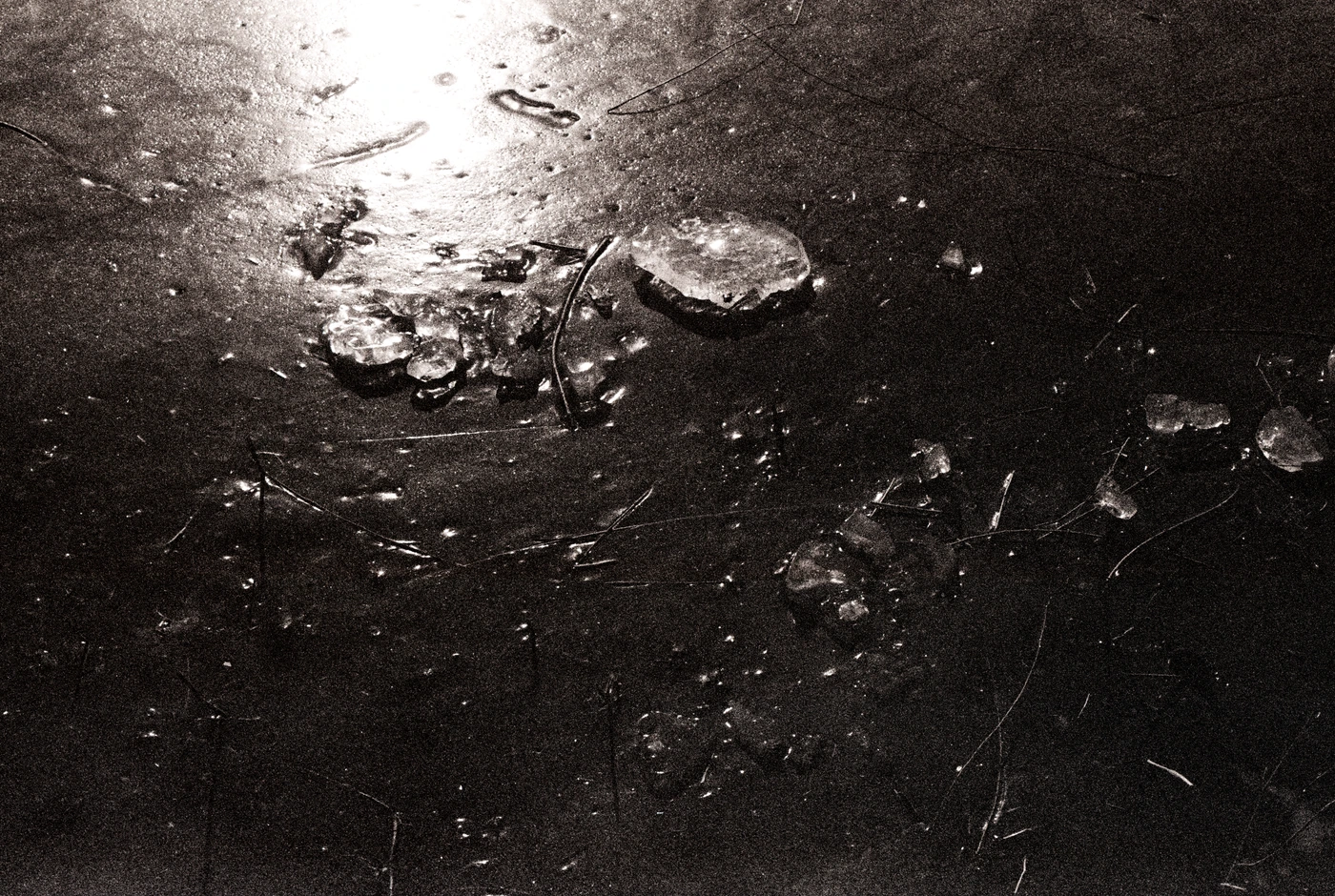 FANG photograph 104: 湿地光线 / Wet Ground Light