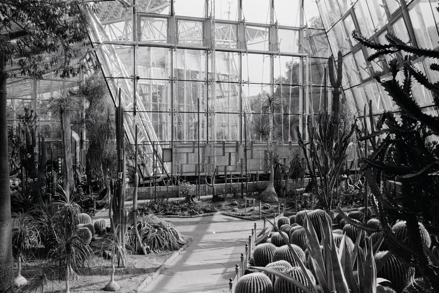 FANG photograph 106: 玻璃温室 / Glasshouse