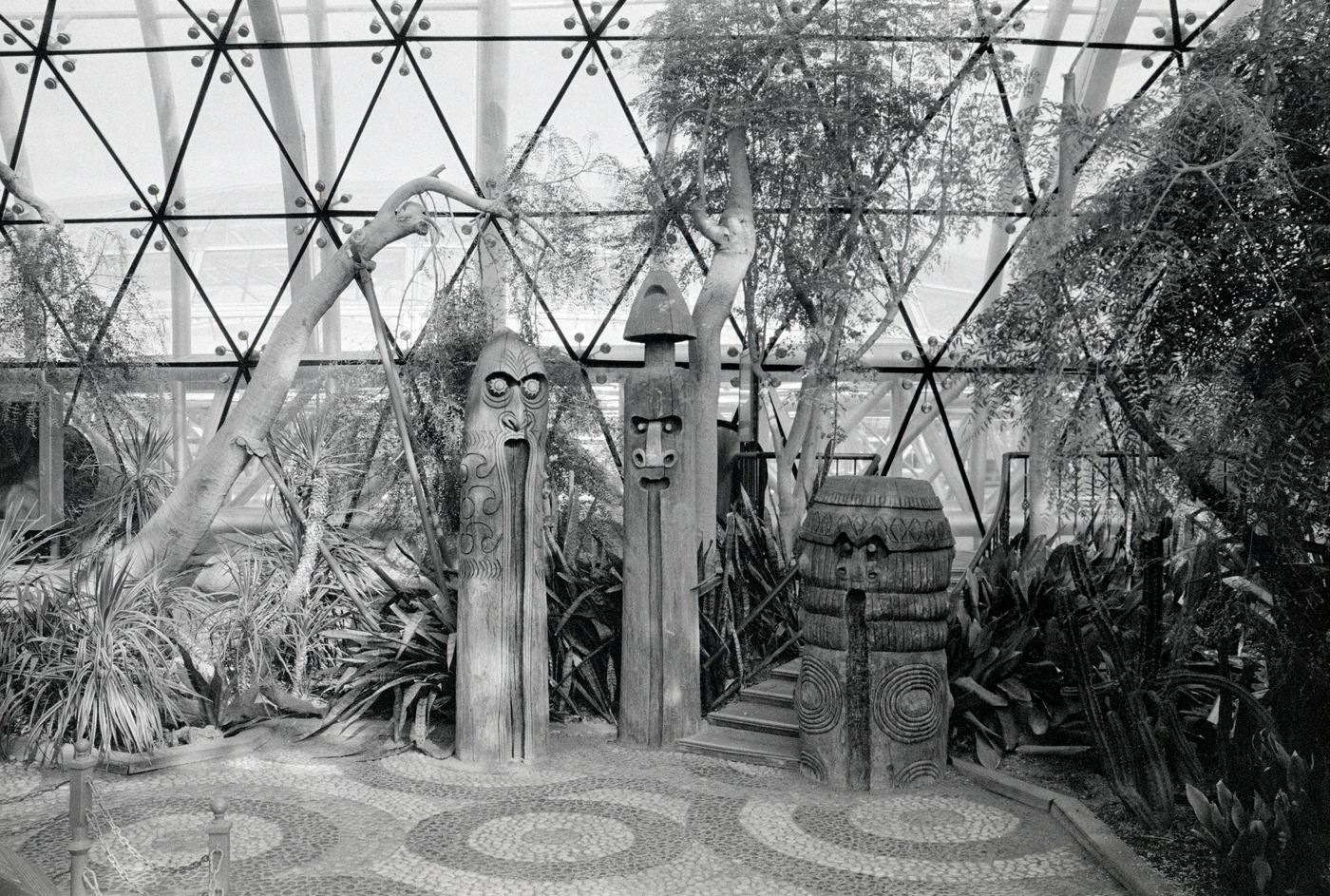 FANG photograph 107: 玻璃穹顶花园 / Glass Canopy Garden