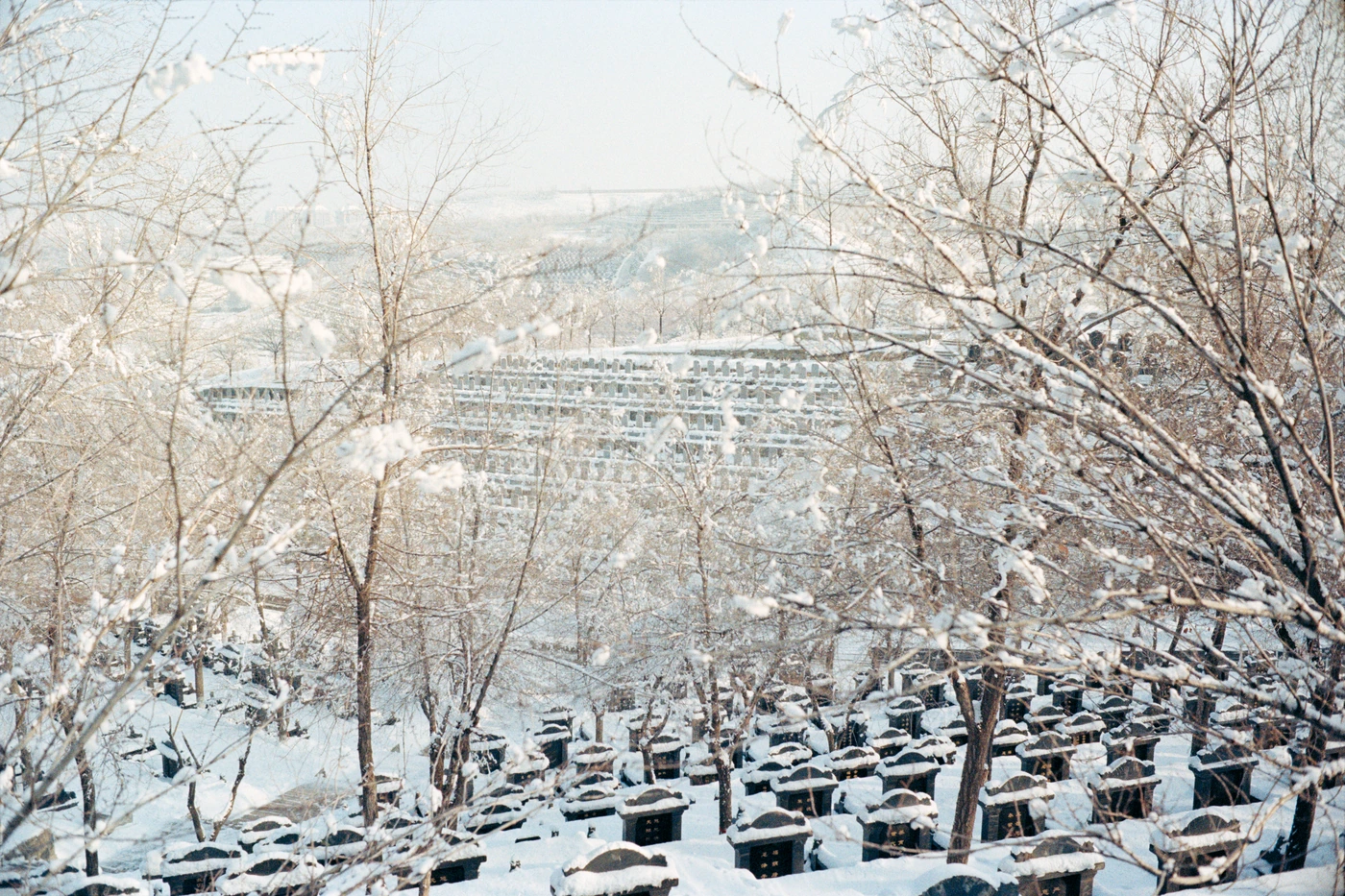 FANG photograph 143: 雪地墓园 / Snow Cemetery
