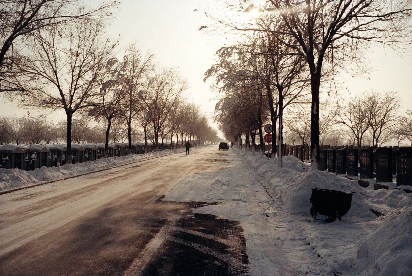 FANG photograph 146: 林荫公路 / Tree-lined Road