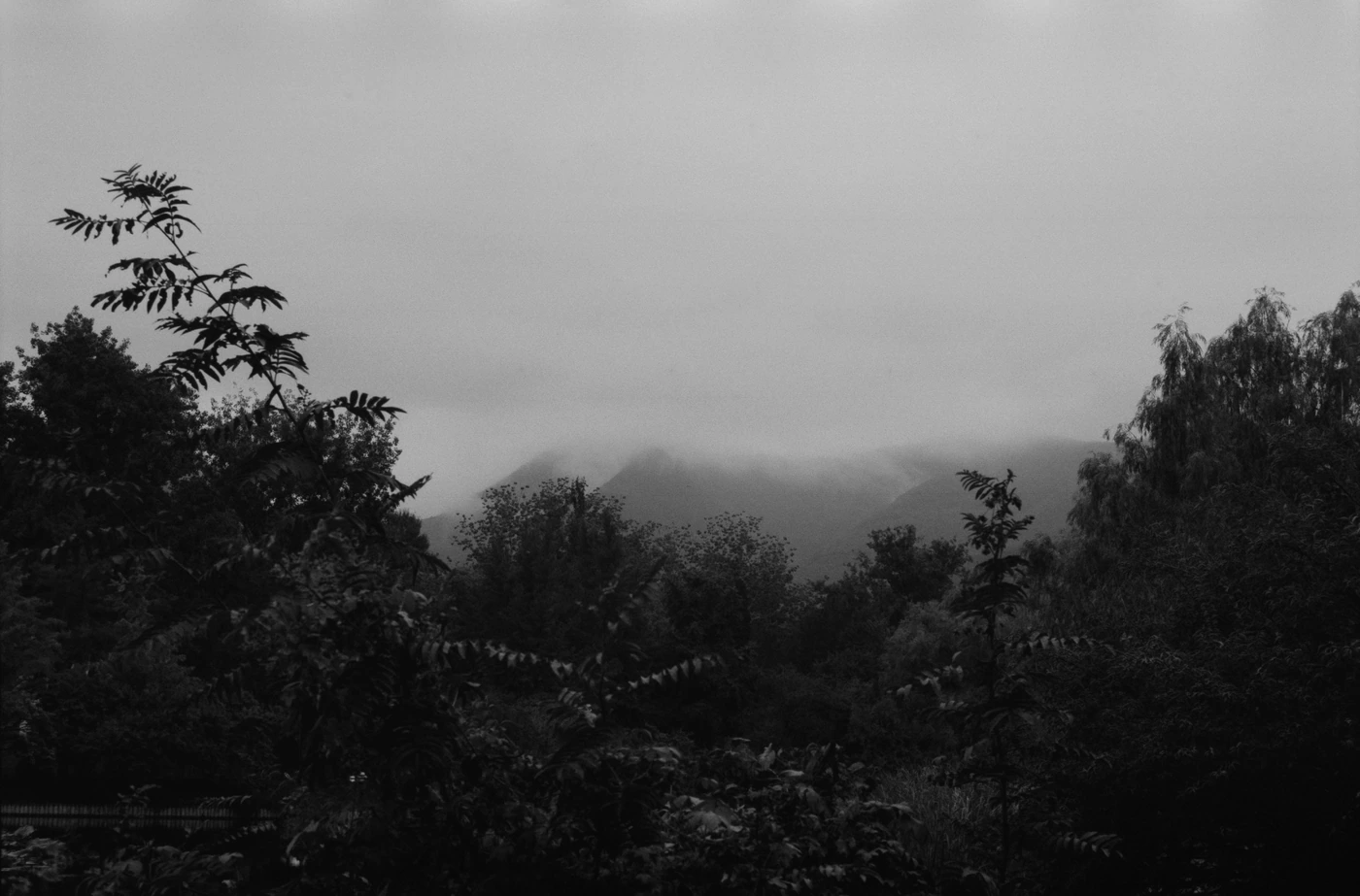 FANG photograph 154: 雾地山丘 / Hills & Fog