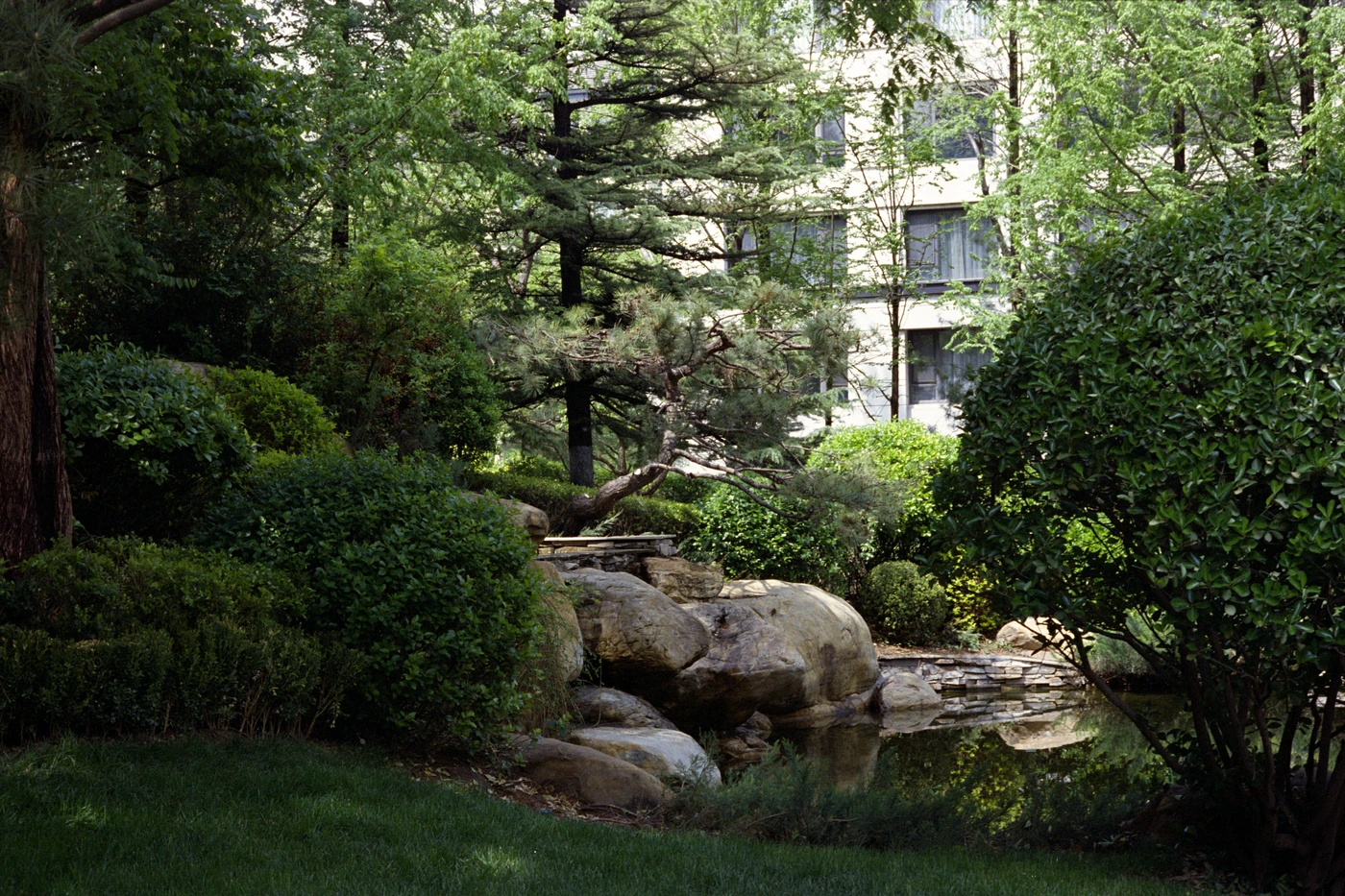 FANG photograph 081: 石径与庭院 / Stone Path & Courtyard