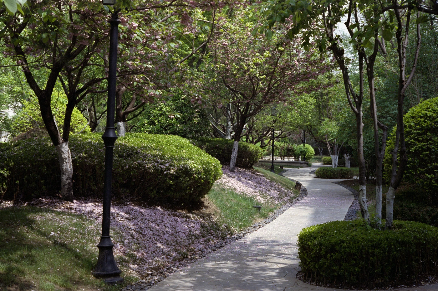 FANG photograph 085: 弯道 / Winding Path