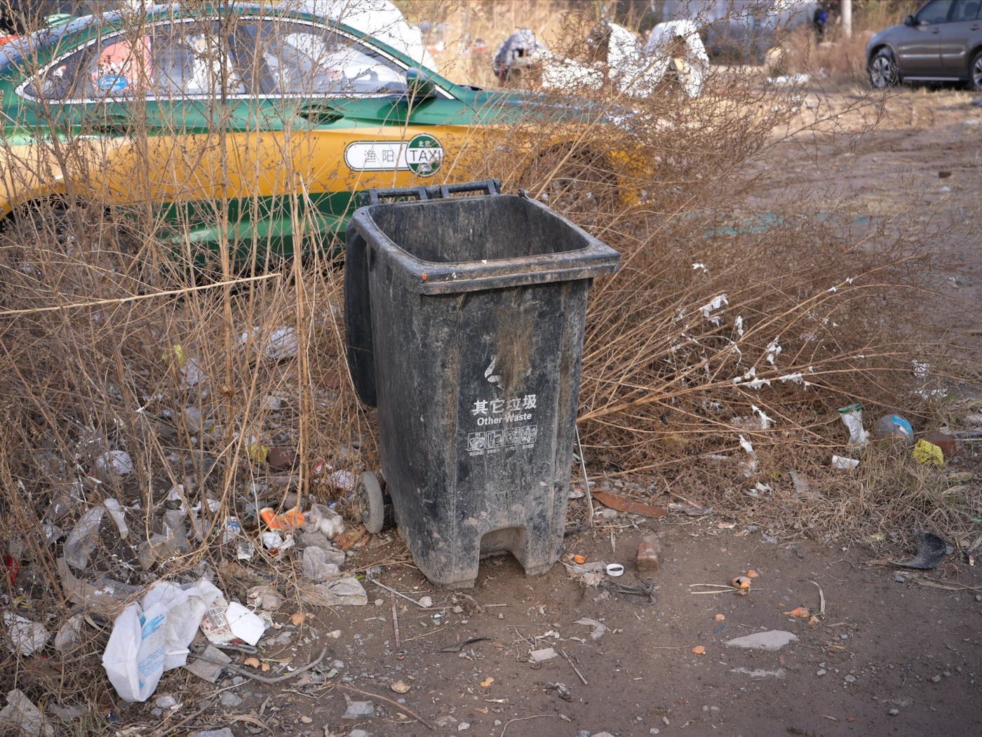 无题(档案 179) / Untitled (Archive 179)