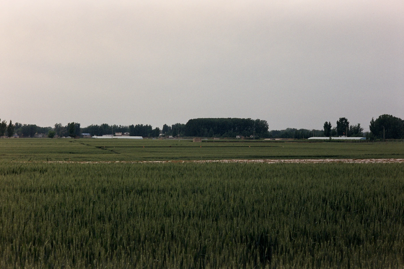 山东 II / Shandong II photograph 017