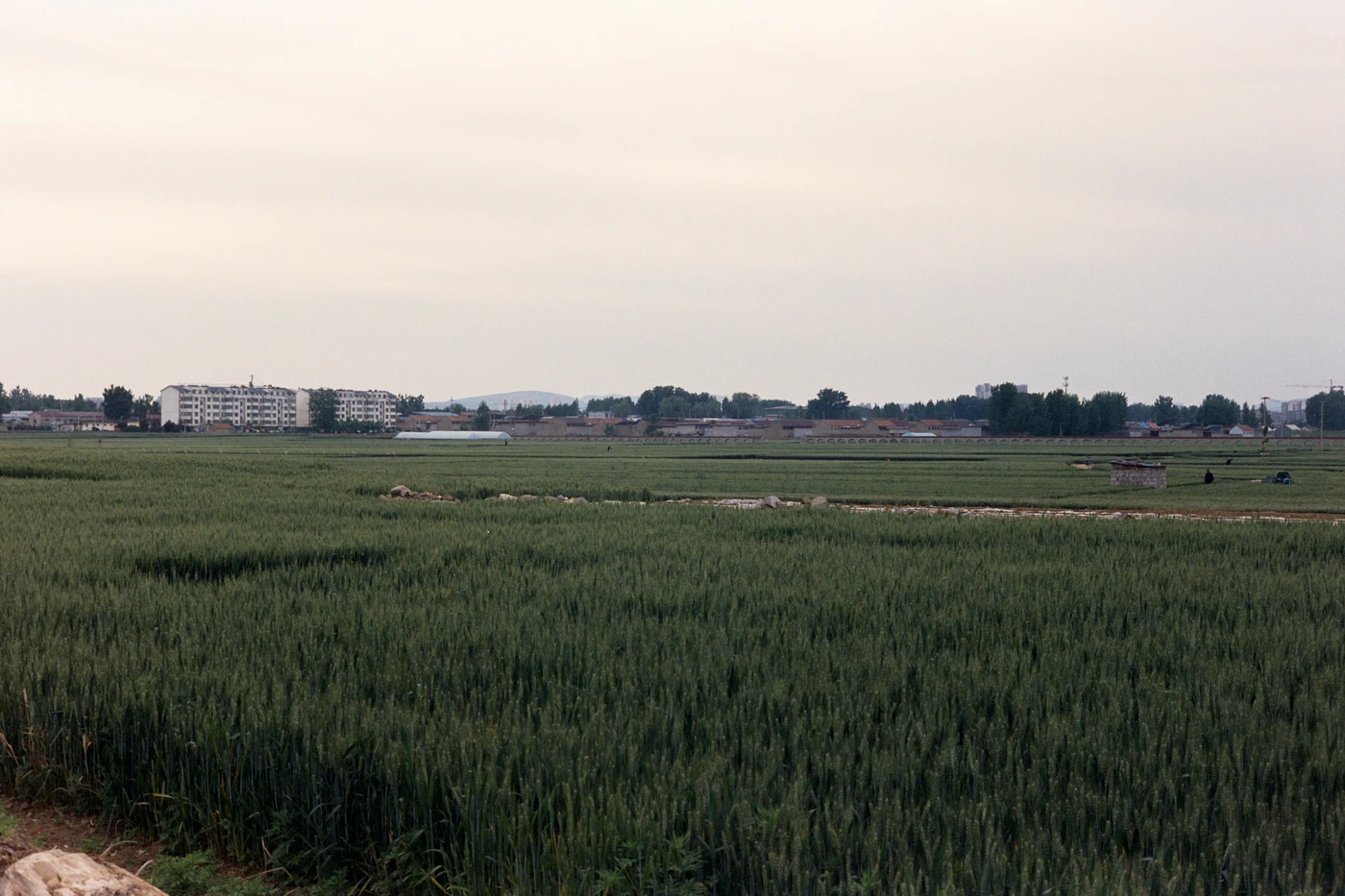 山东 II / Shandong II photograph 019